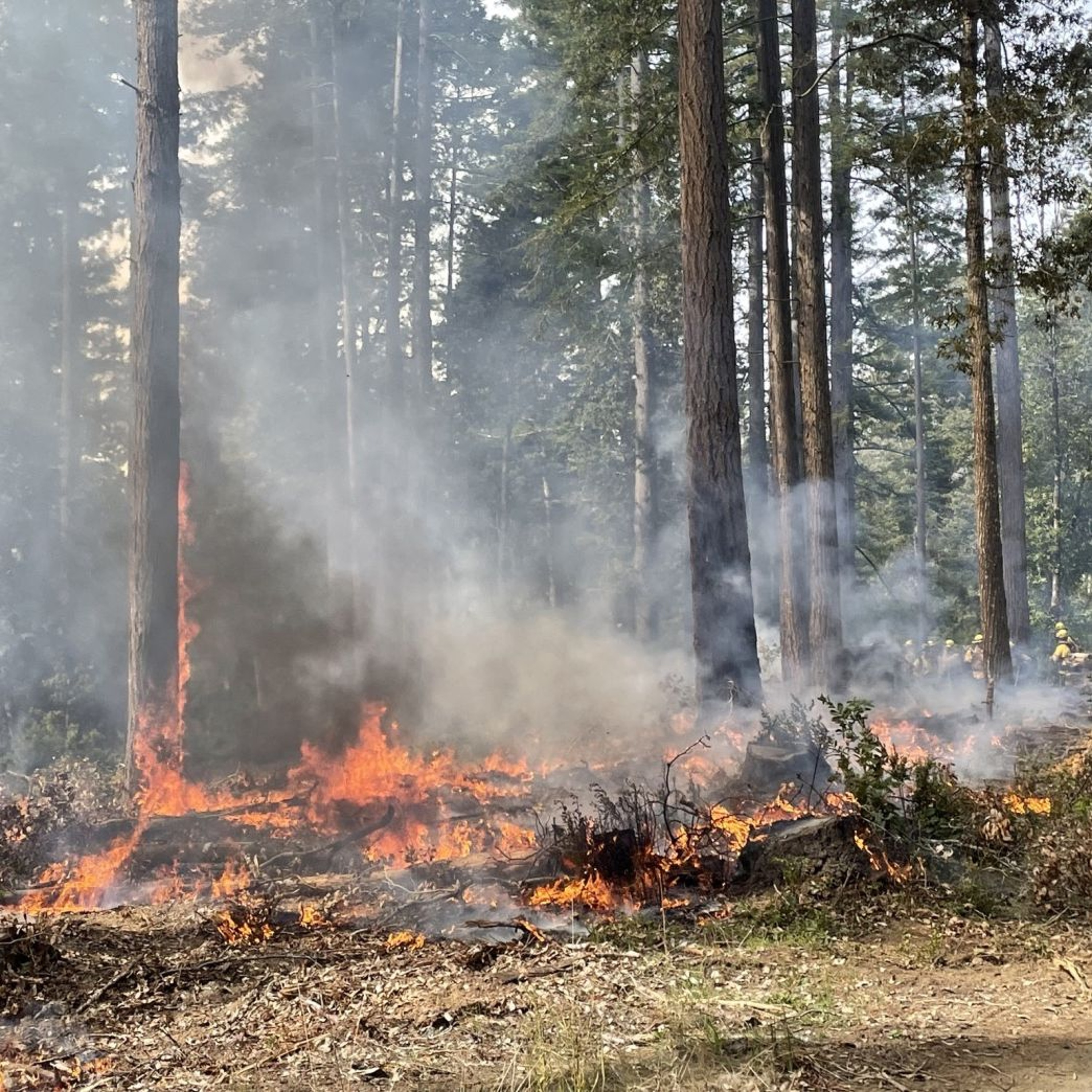 HeadlineMendocino 5.28.2024