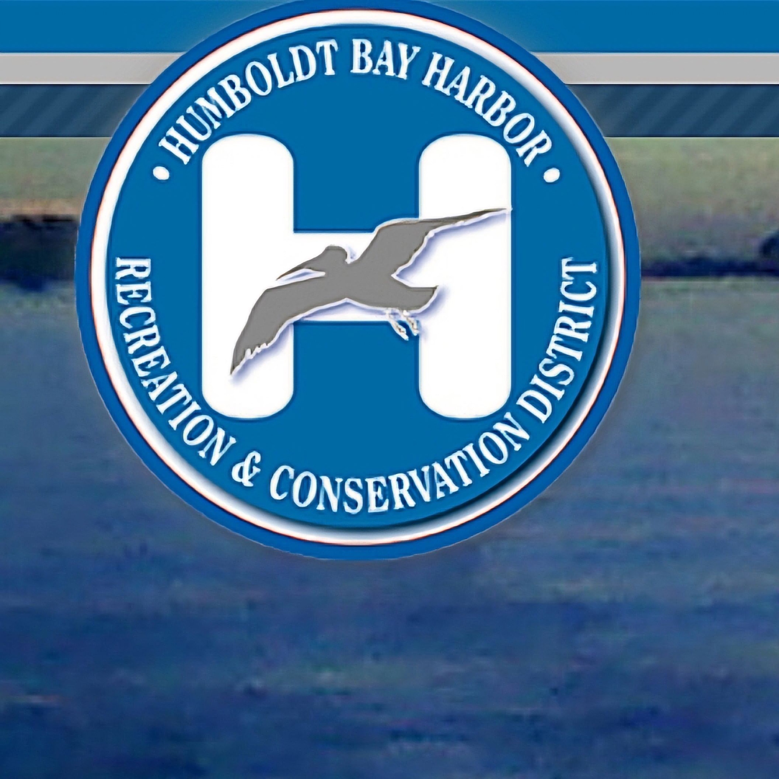 Harbor District Seeks Funds To Repair Shelter Cove's Breakwater