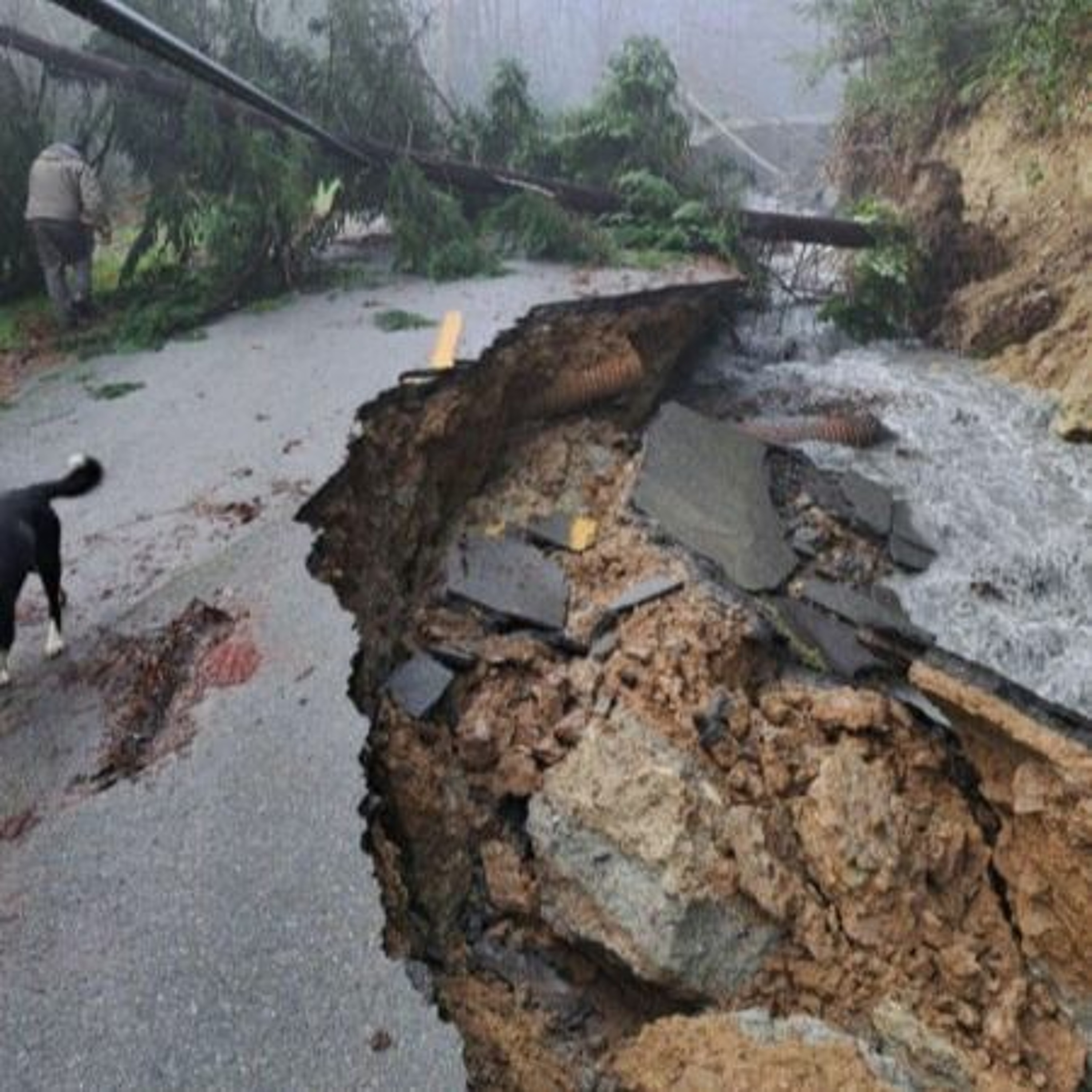 FEMA Denies Assistance for January Flood Damages