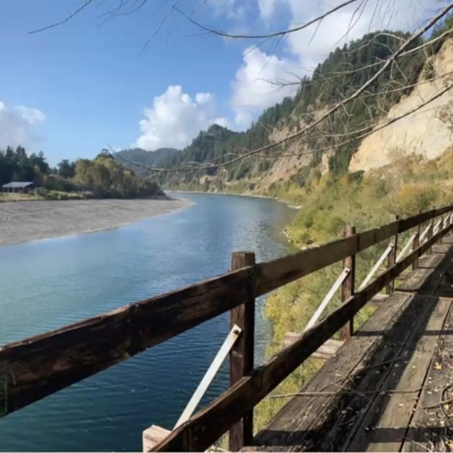 McGuire: Great Redwood Trail Hits ‘Major Milestone’
