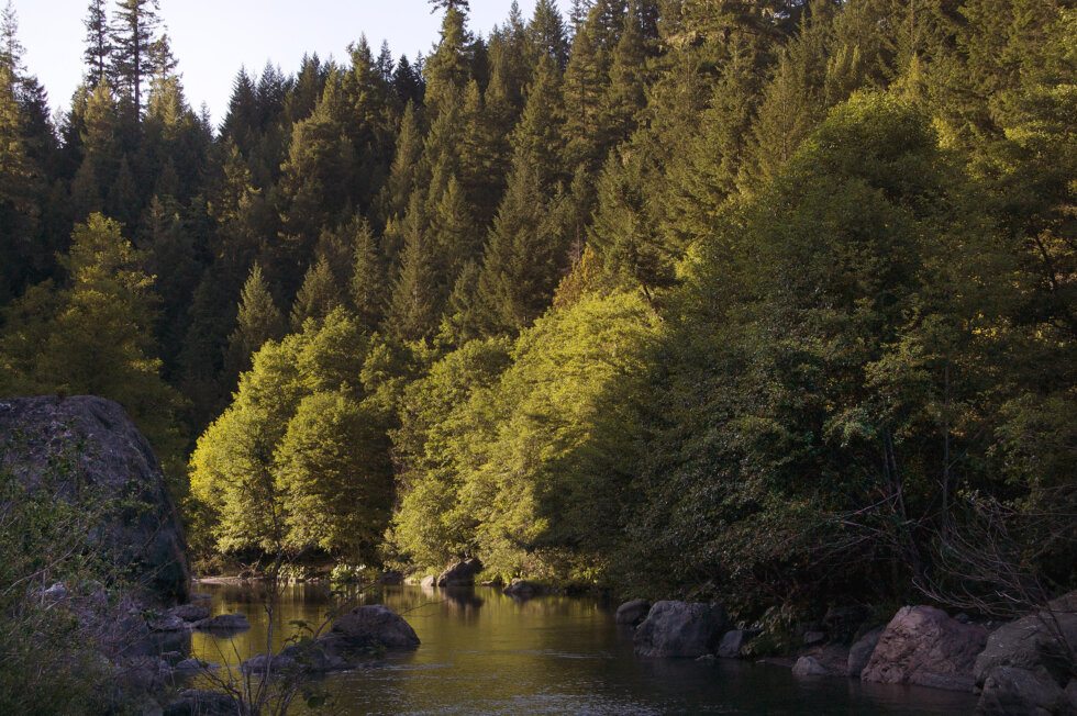 Siskiyou Land Conservancy Creates a 353-acre Riverfront Reserve on Mad River