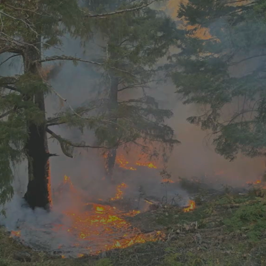 Humboldt Will Lobby State for Firefighting Funding, Coverage