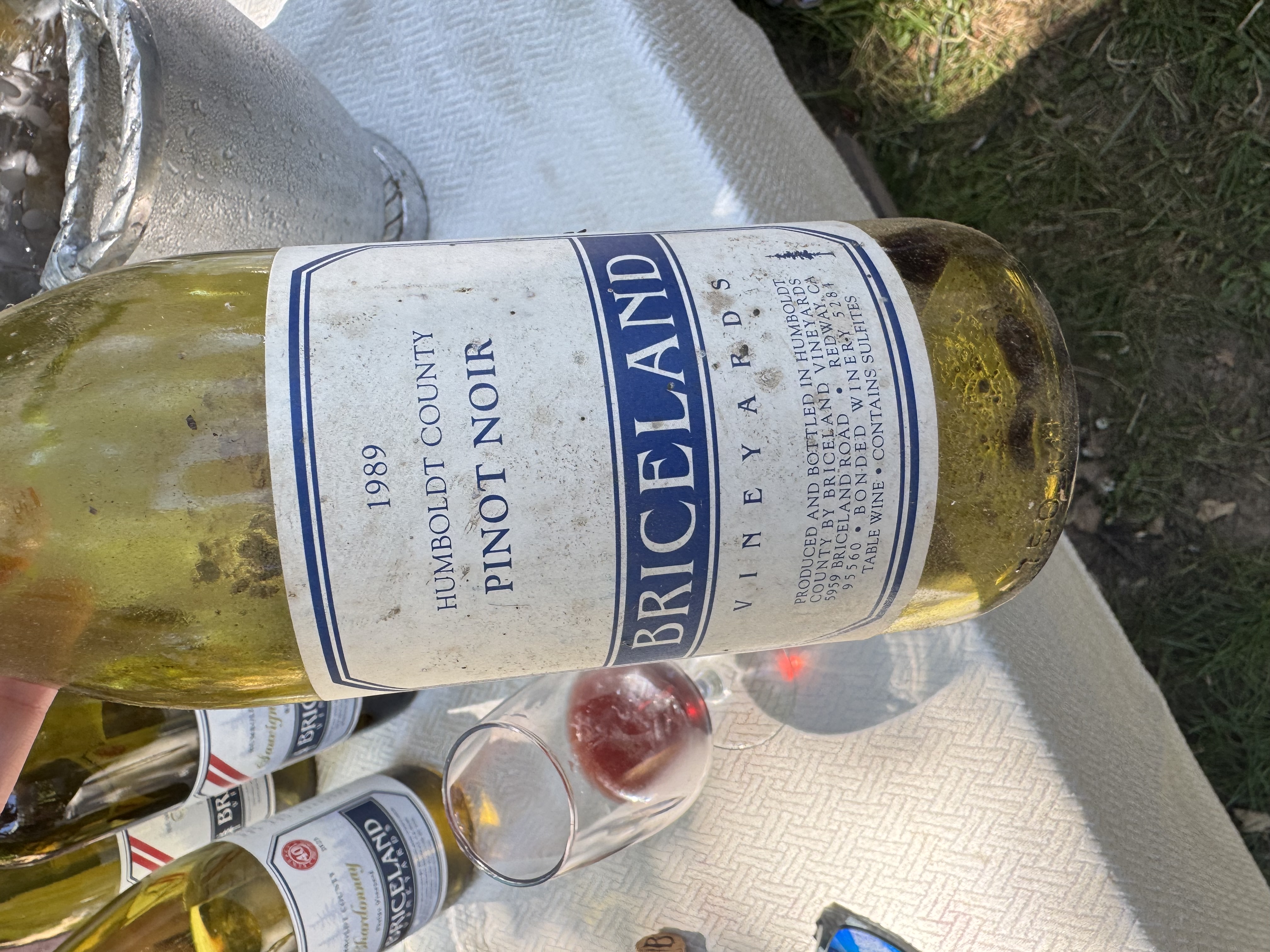 Briceland Vineyards 40th Anniversary Celebration