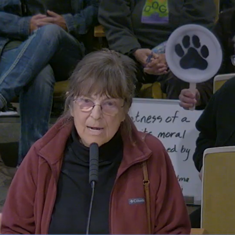 Miranda’s Rescue Case Sparks Outcry at Supes Meeting