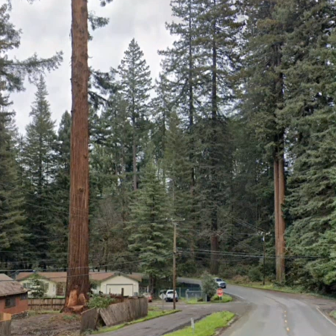 Humboldt Planning Commission Denies Redway Old Growth Permit