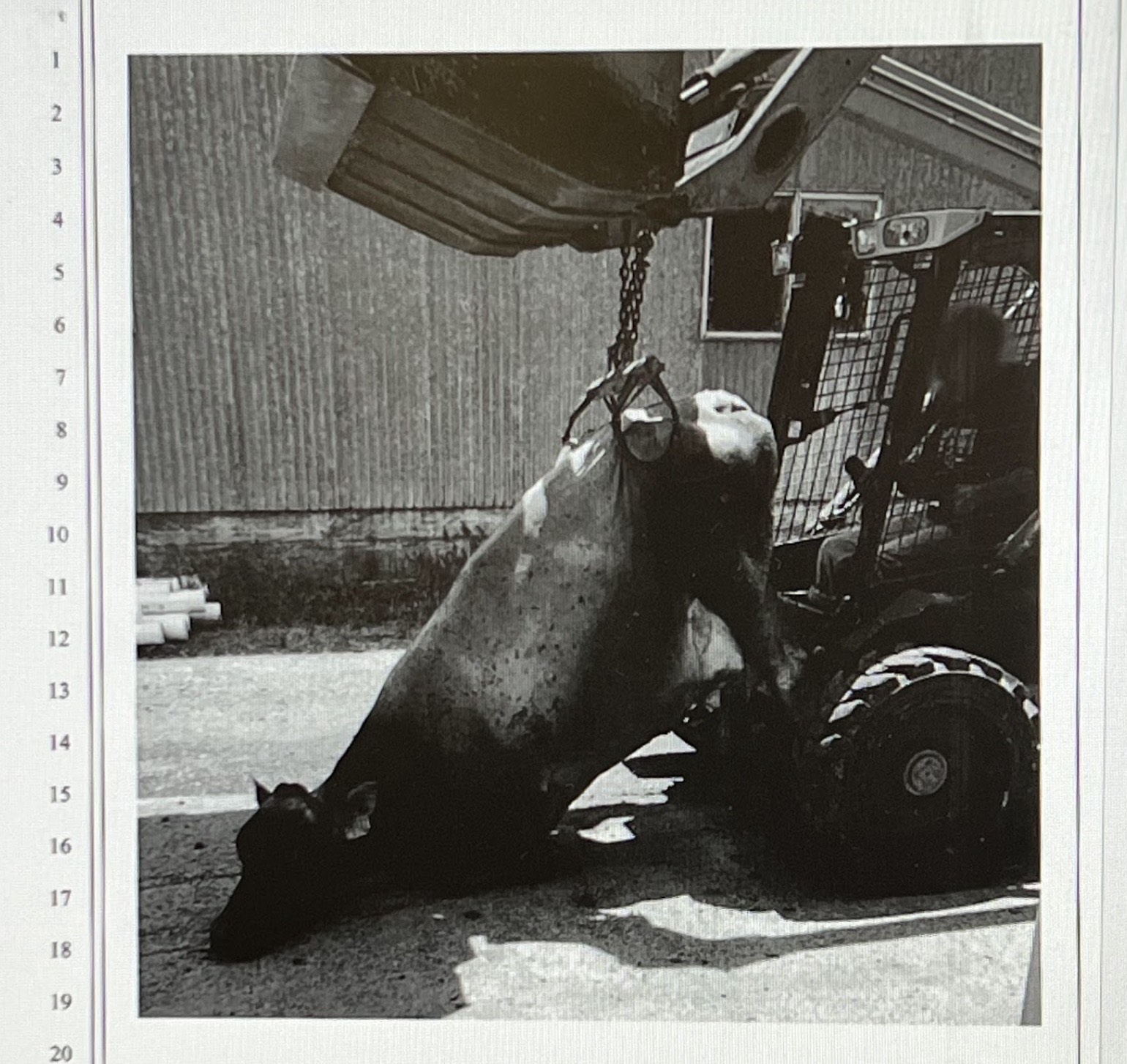Alexandre Farms Fights to Secure Private Records in Animal Cruelty Case