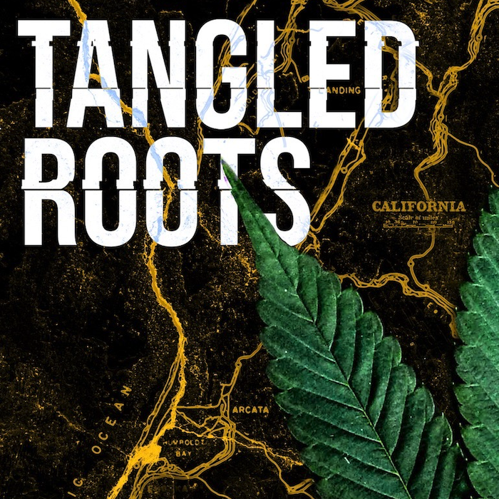 Tangled Roots Explores Back To The Land History of Southern Humboldt