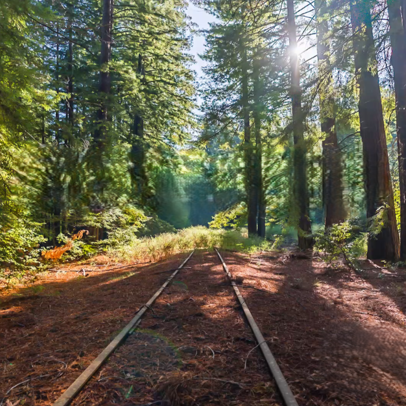 Presentation Outlines Great Redwood Trail’s Environmental and Economic Benefits