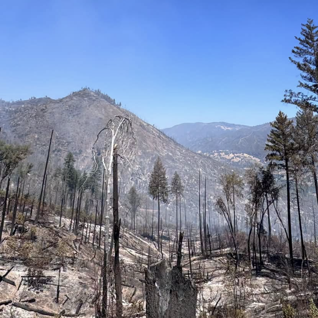 Lucas Fire Burns In Mendocino