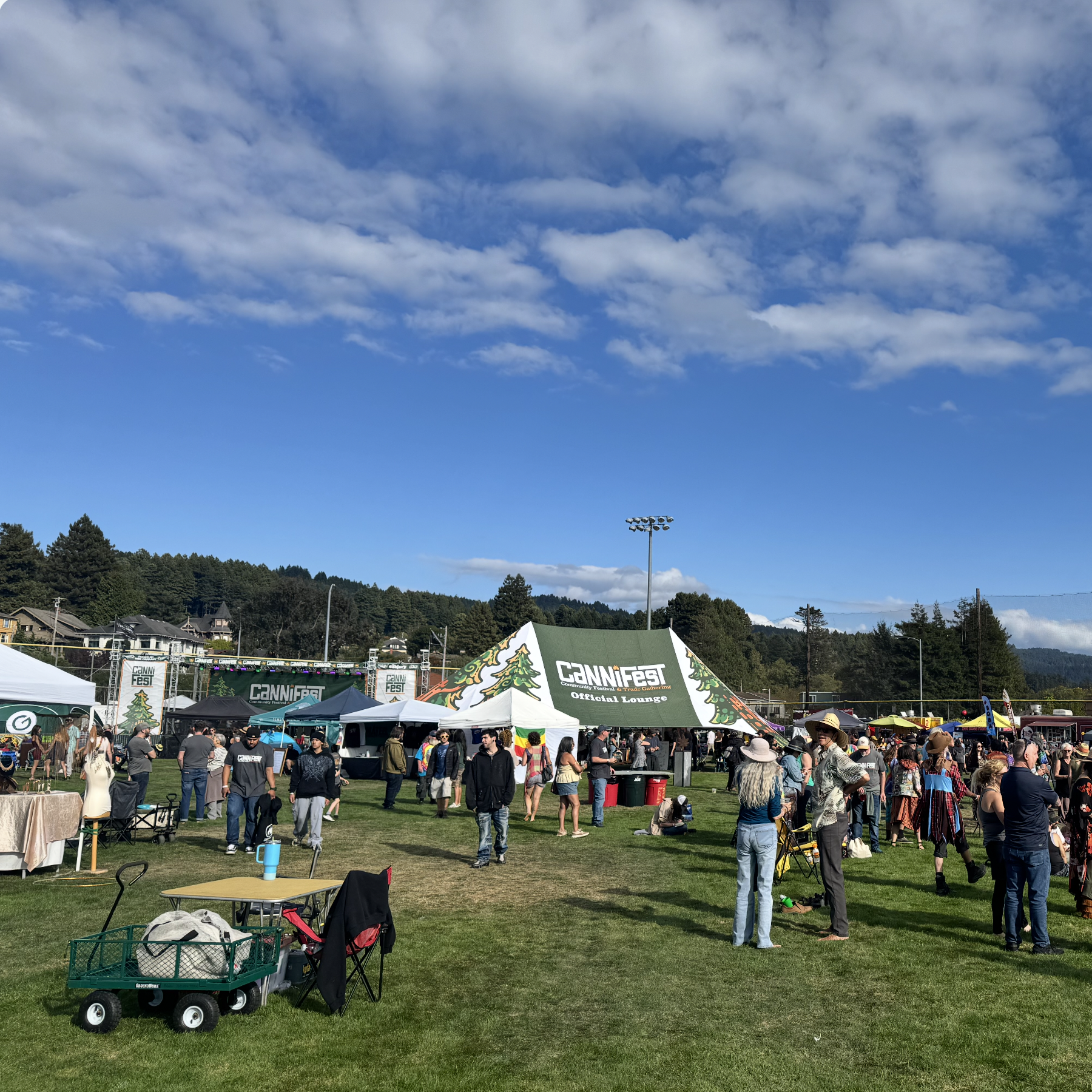 Cannifest Takes The Field at Arcata Ballpark