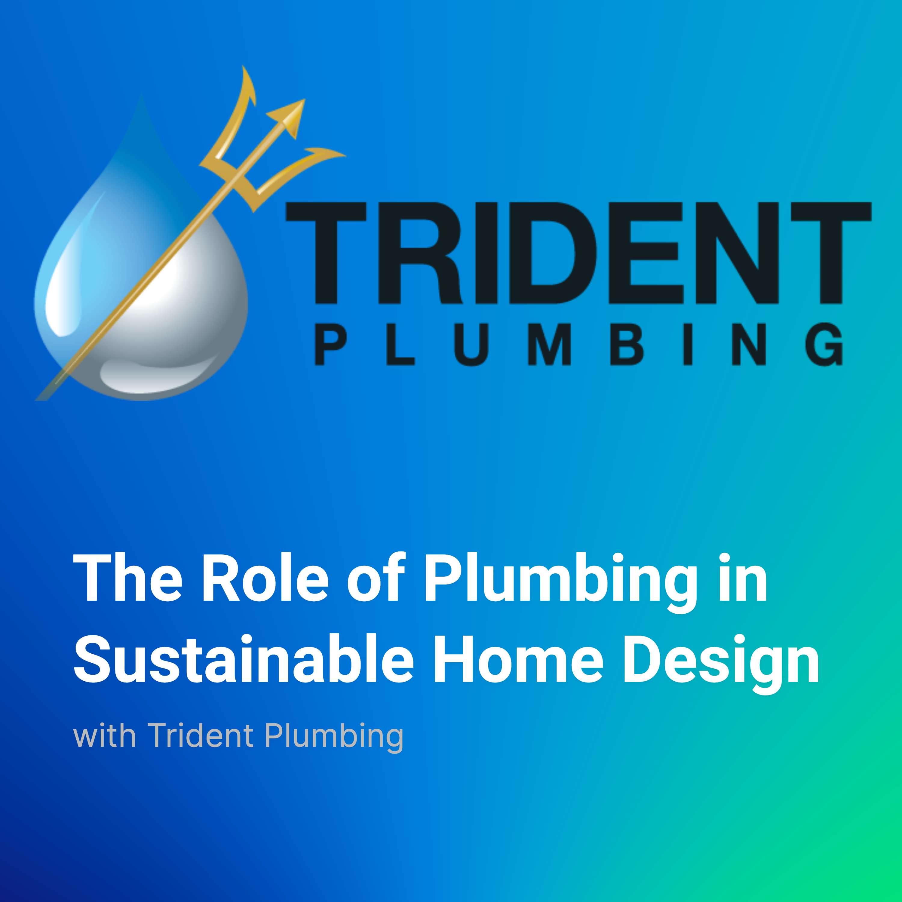 The Role of Plumbing in Sustainable Home Design