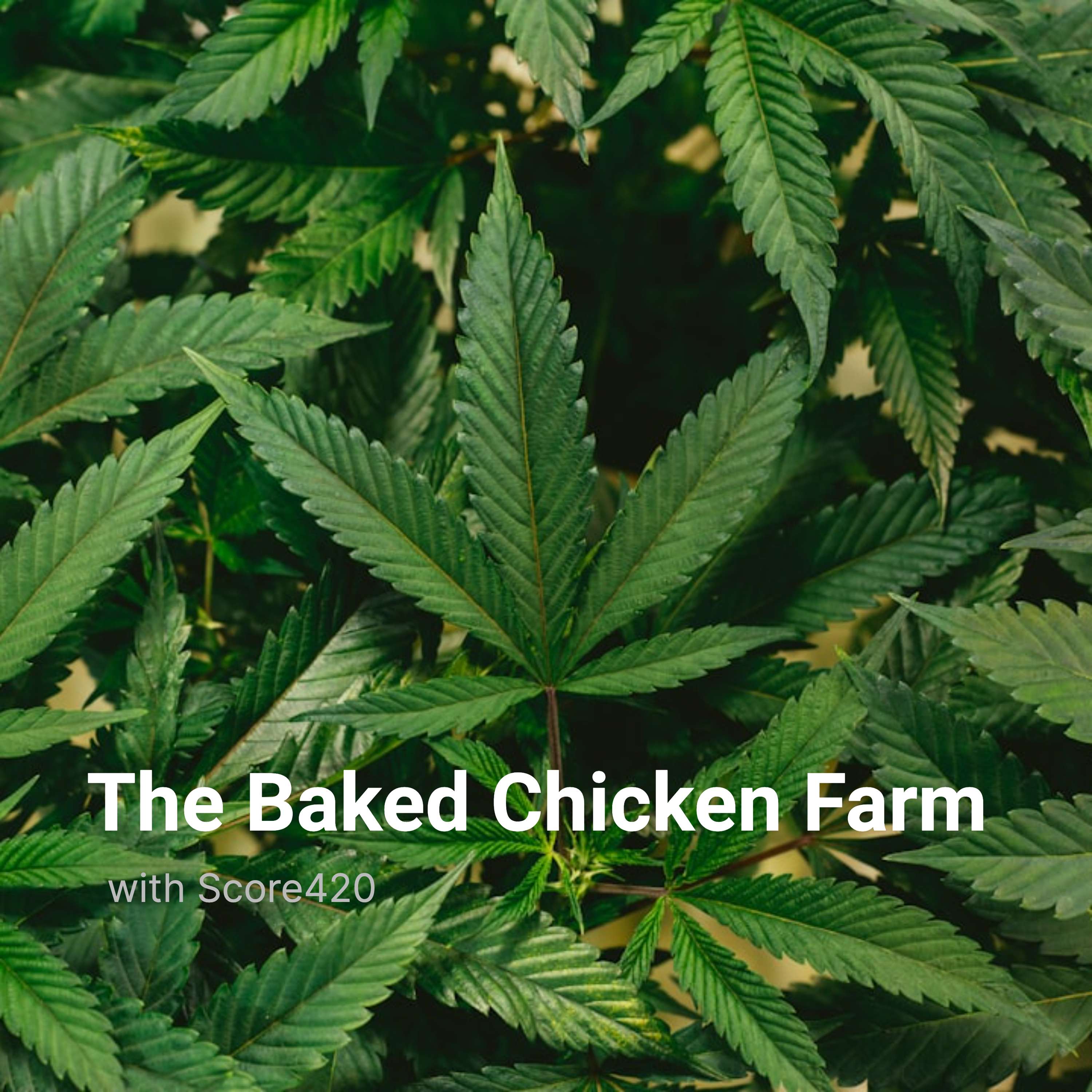 The Baked Chicken Farm