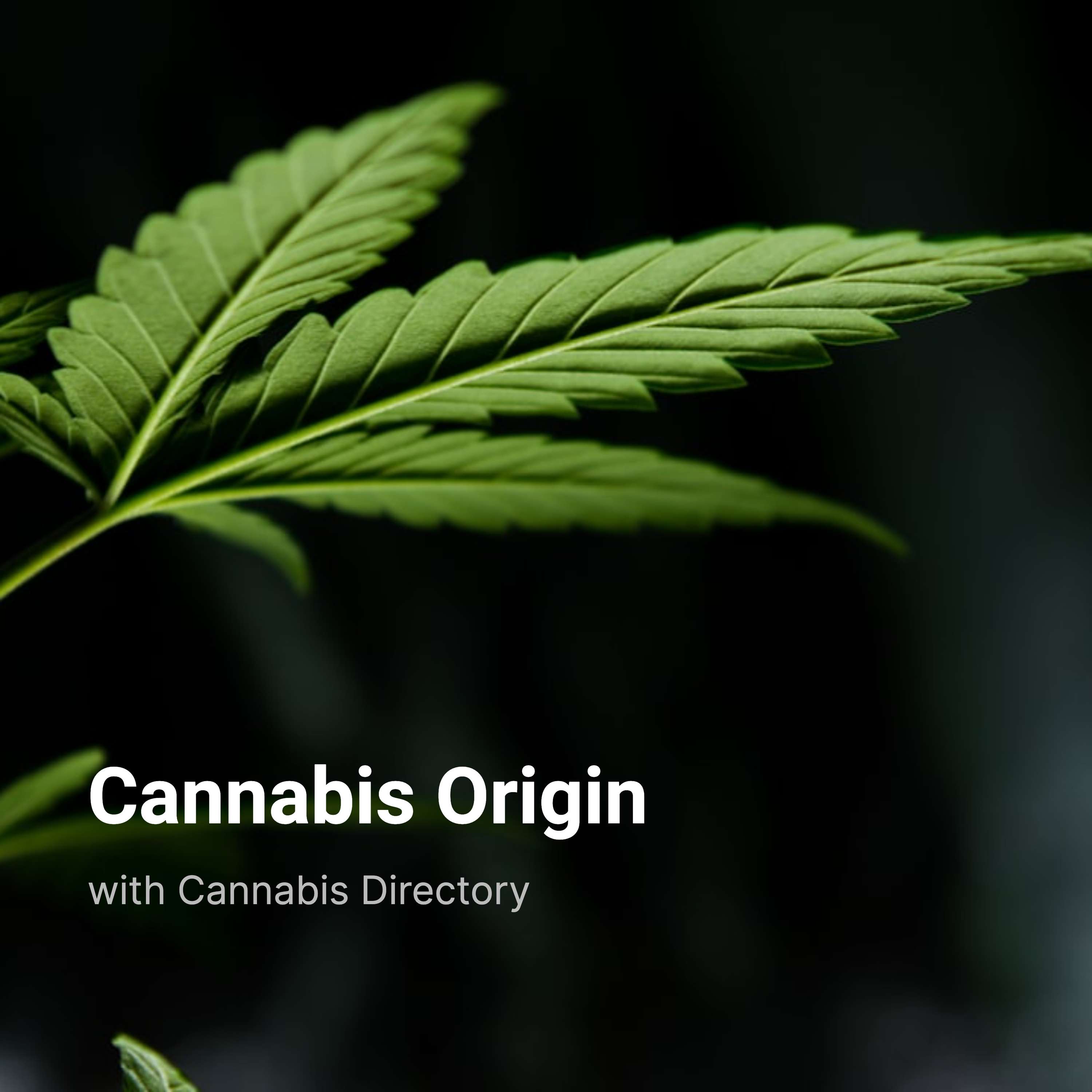 The Origin of All Cannabis