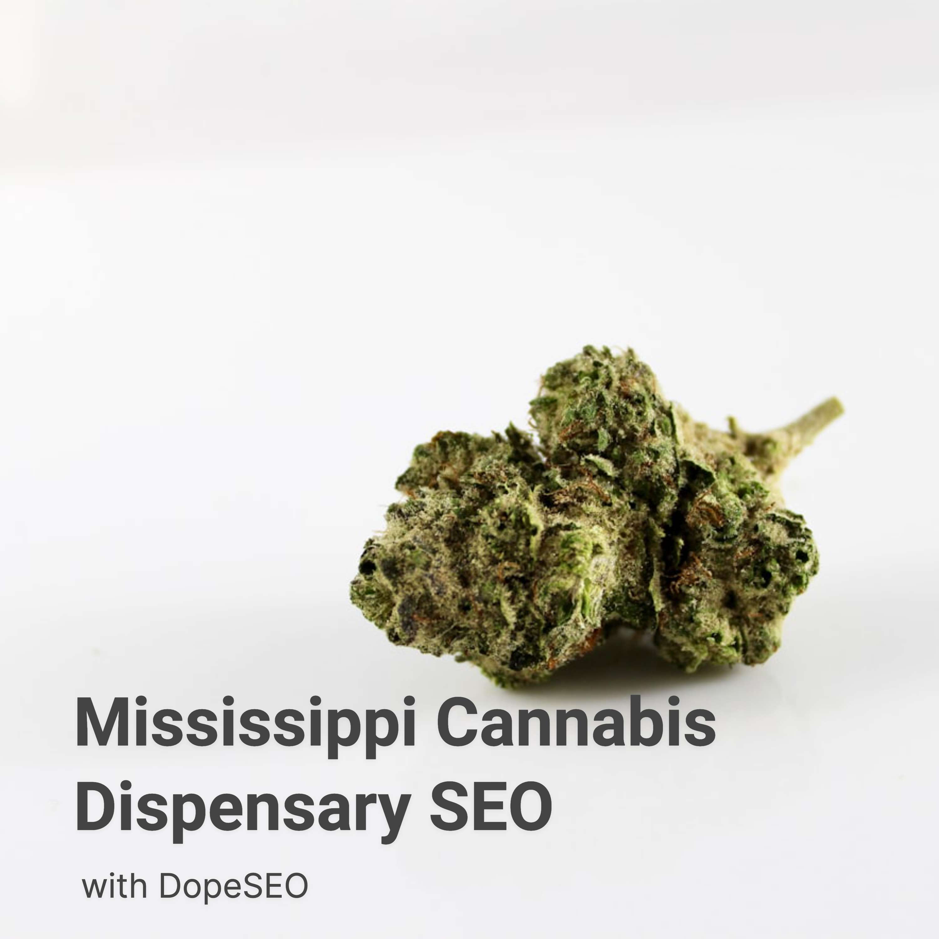 Mississippi Cannabis Dispensary SEO