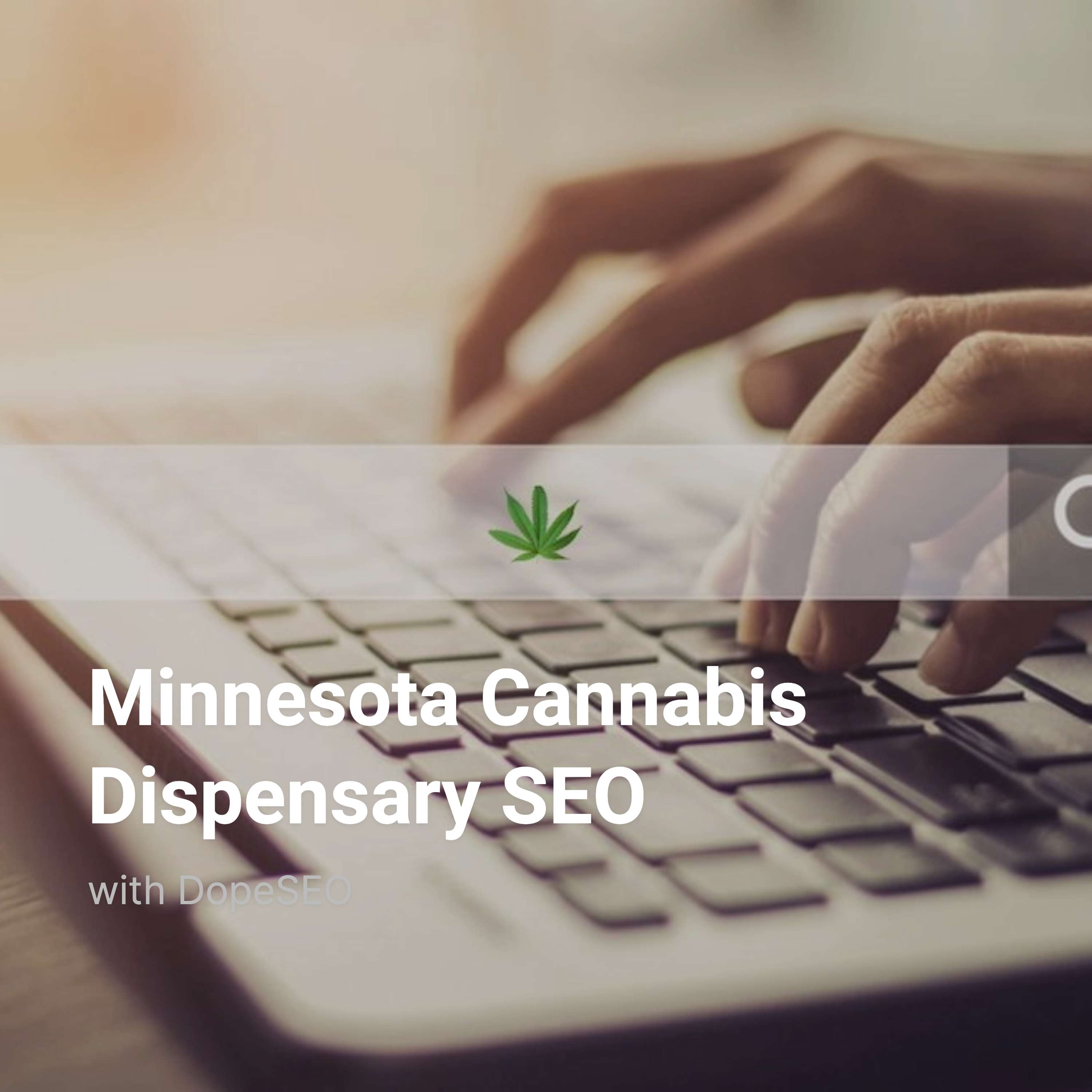 Minnesota Cannabis Dispensary SEO