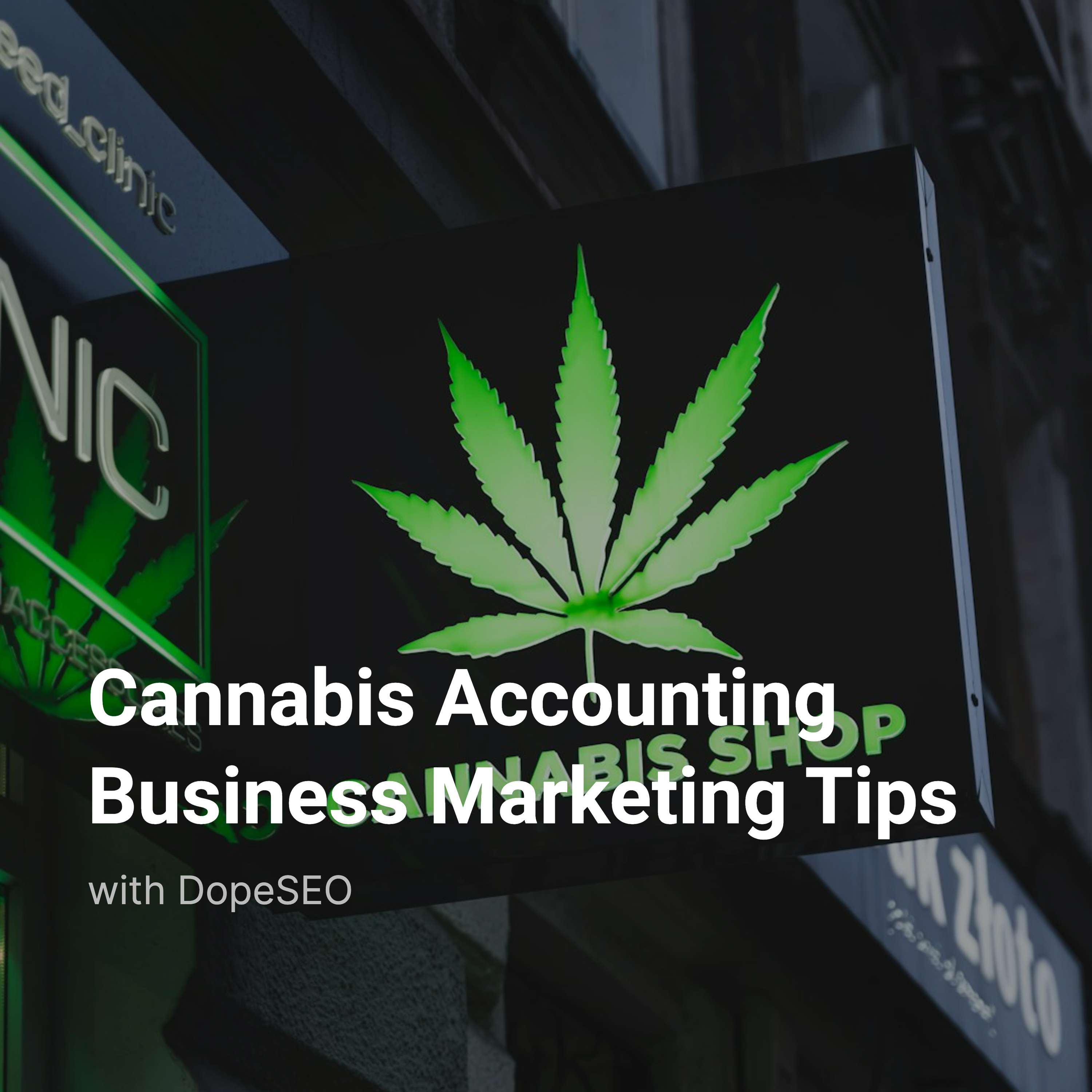 Cannabis Accounting Business Marketing Tips