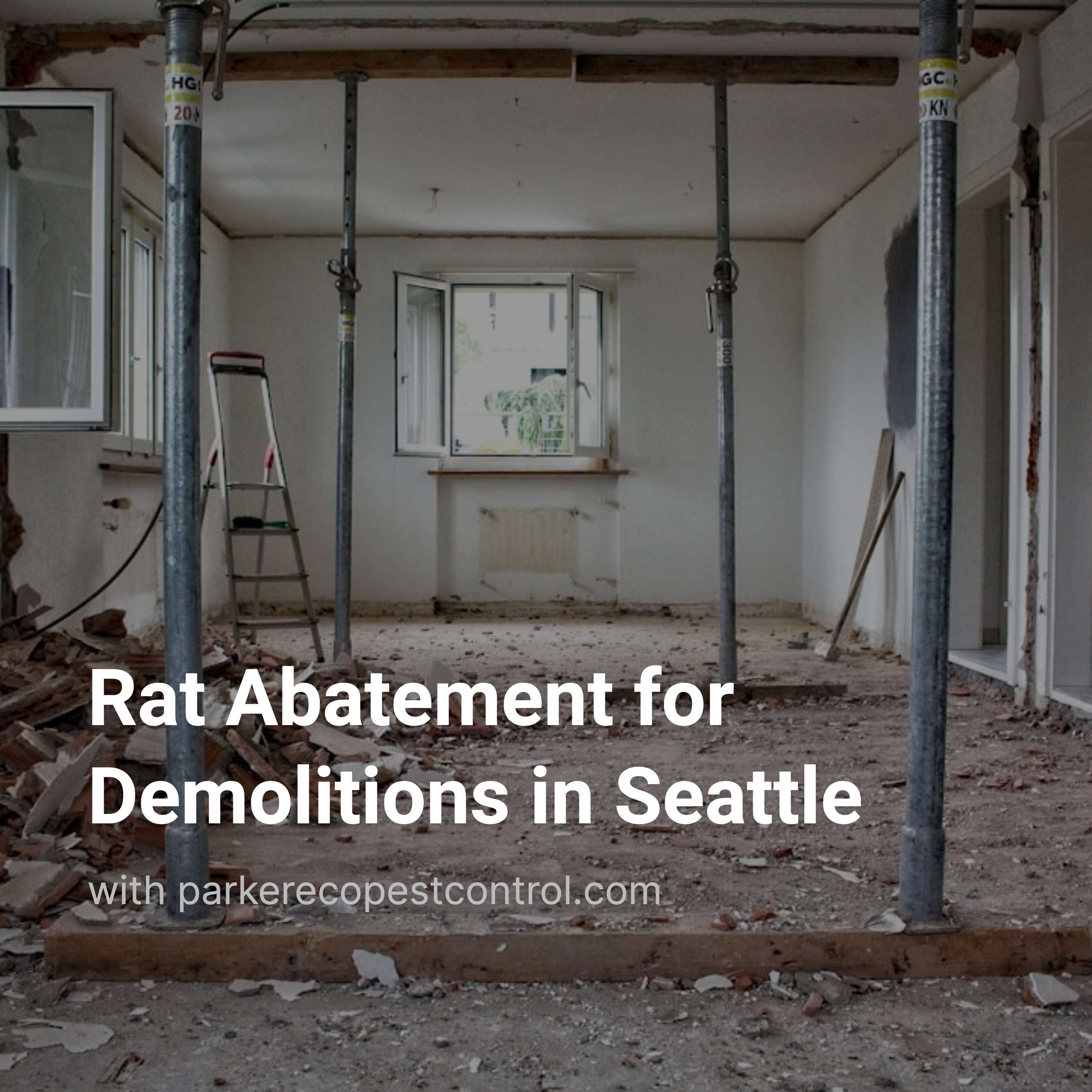 Rat Abatement for Demolitions in Seattle