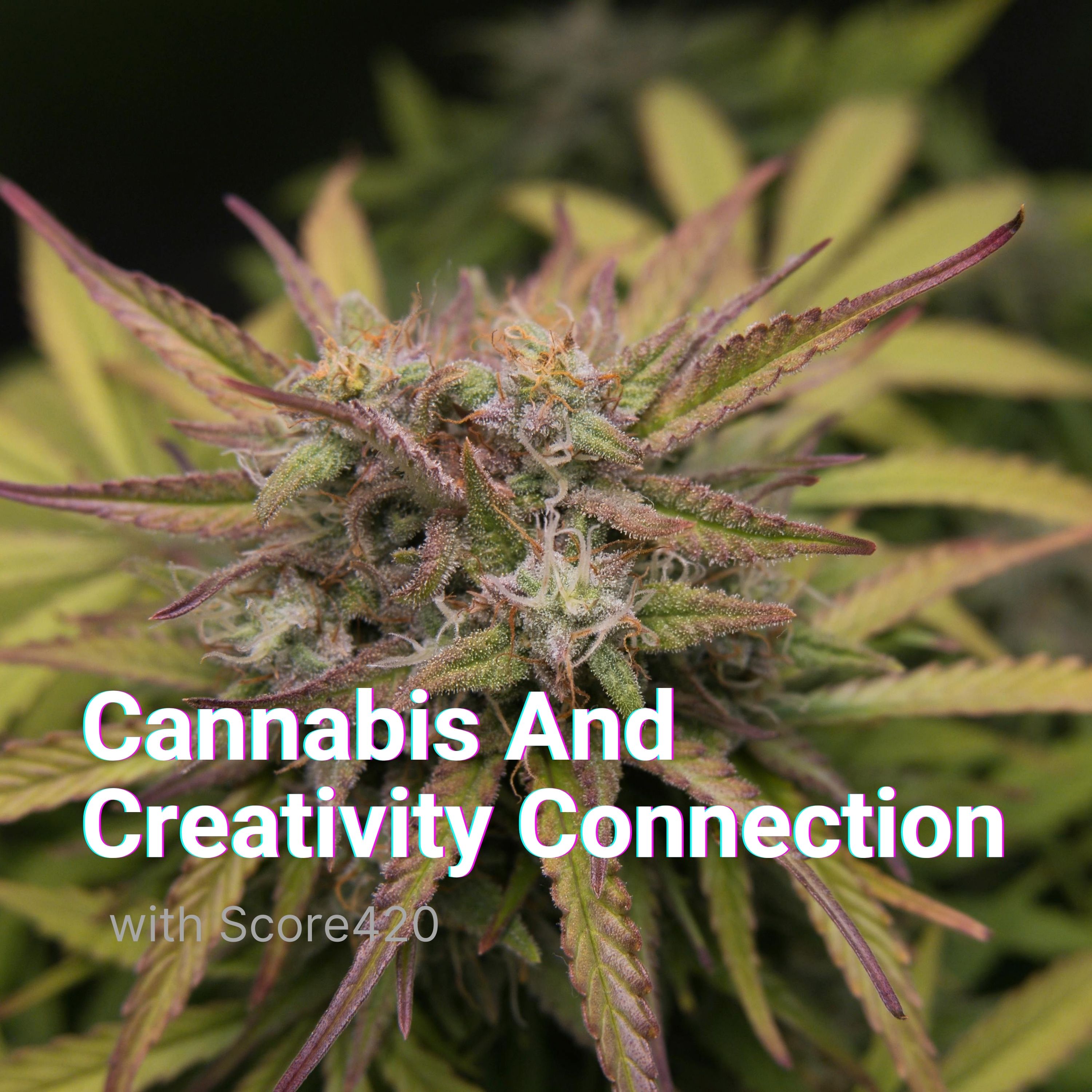 Cannabis And Creativity Connection