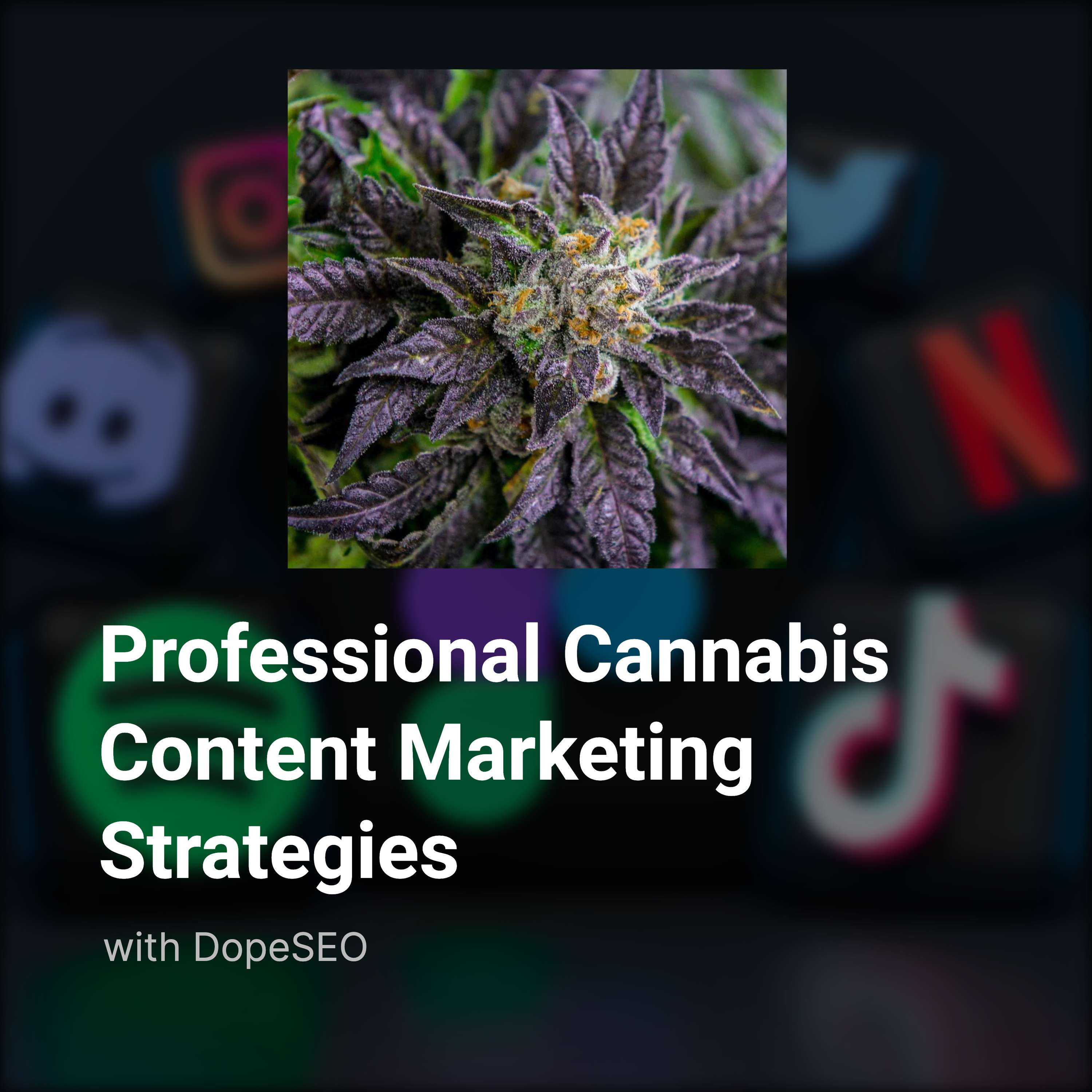 Cannabis Content Marketing Strategies for Pros