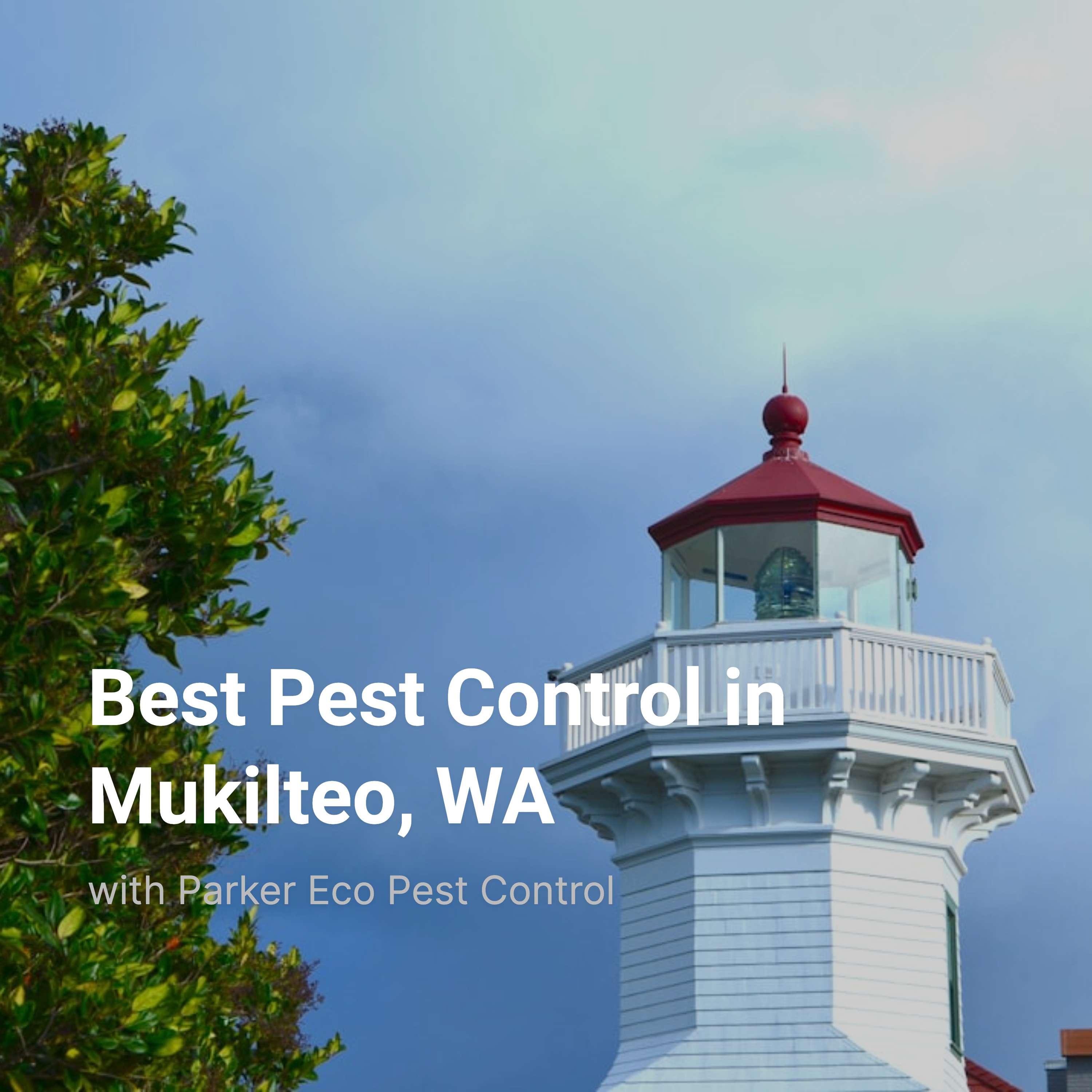 Best Pest Control in Mukilteo, WA