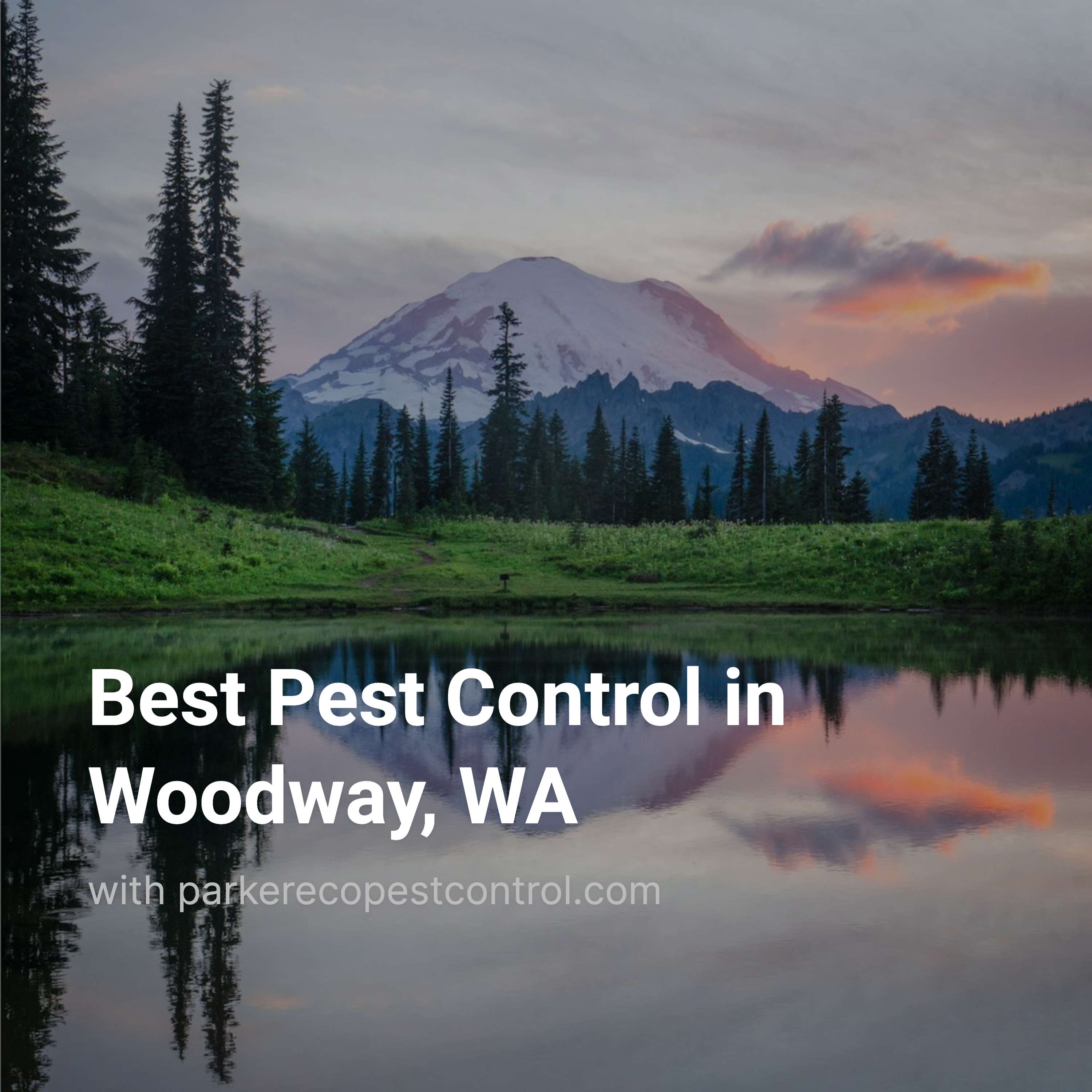 Best Pest Control in Woodway, WA