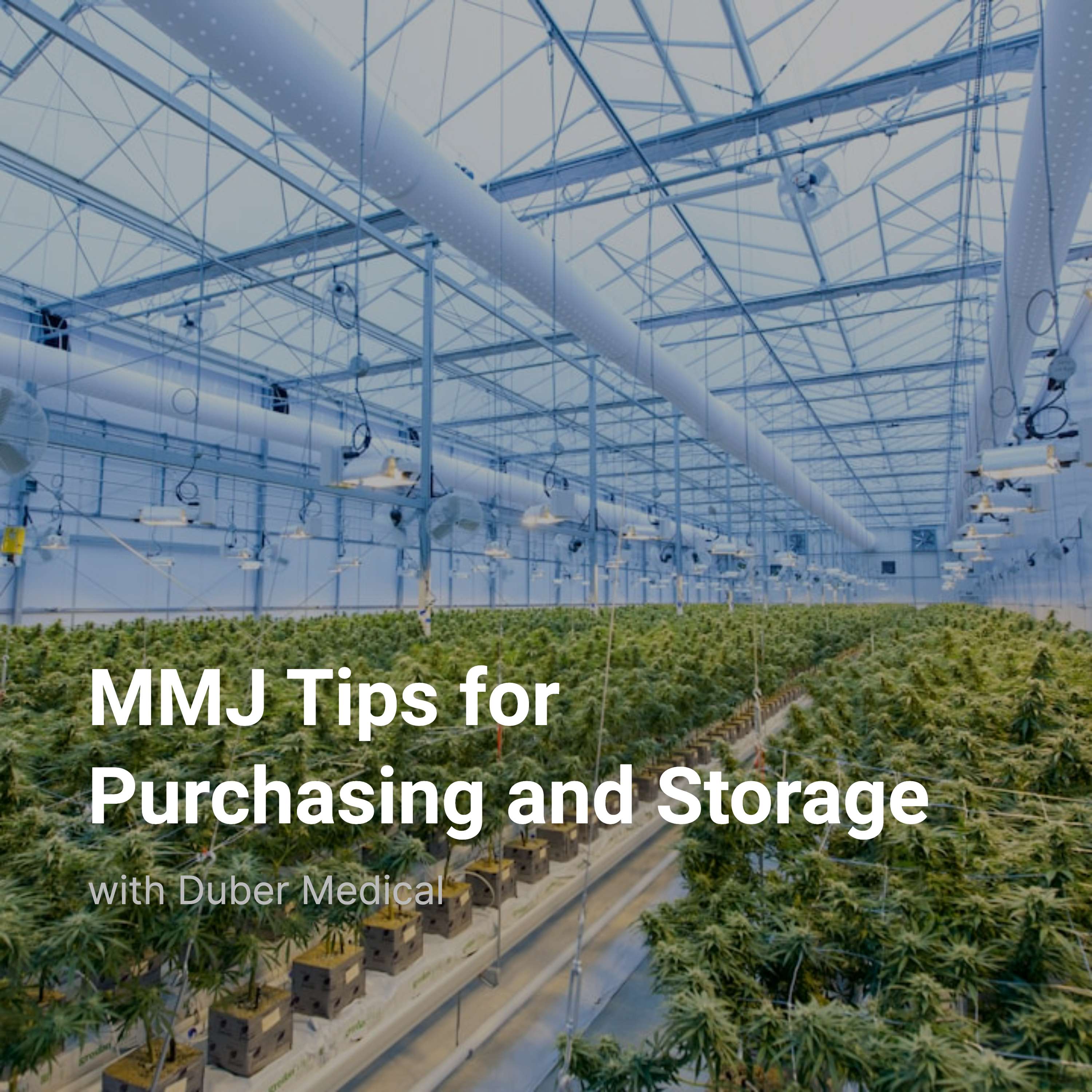 Medical Marijuana Tips for Purchasing and Storage