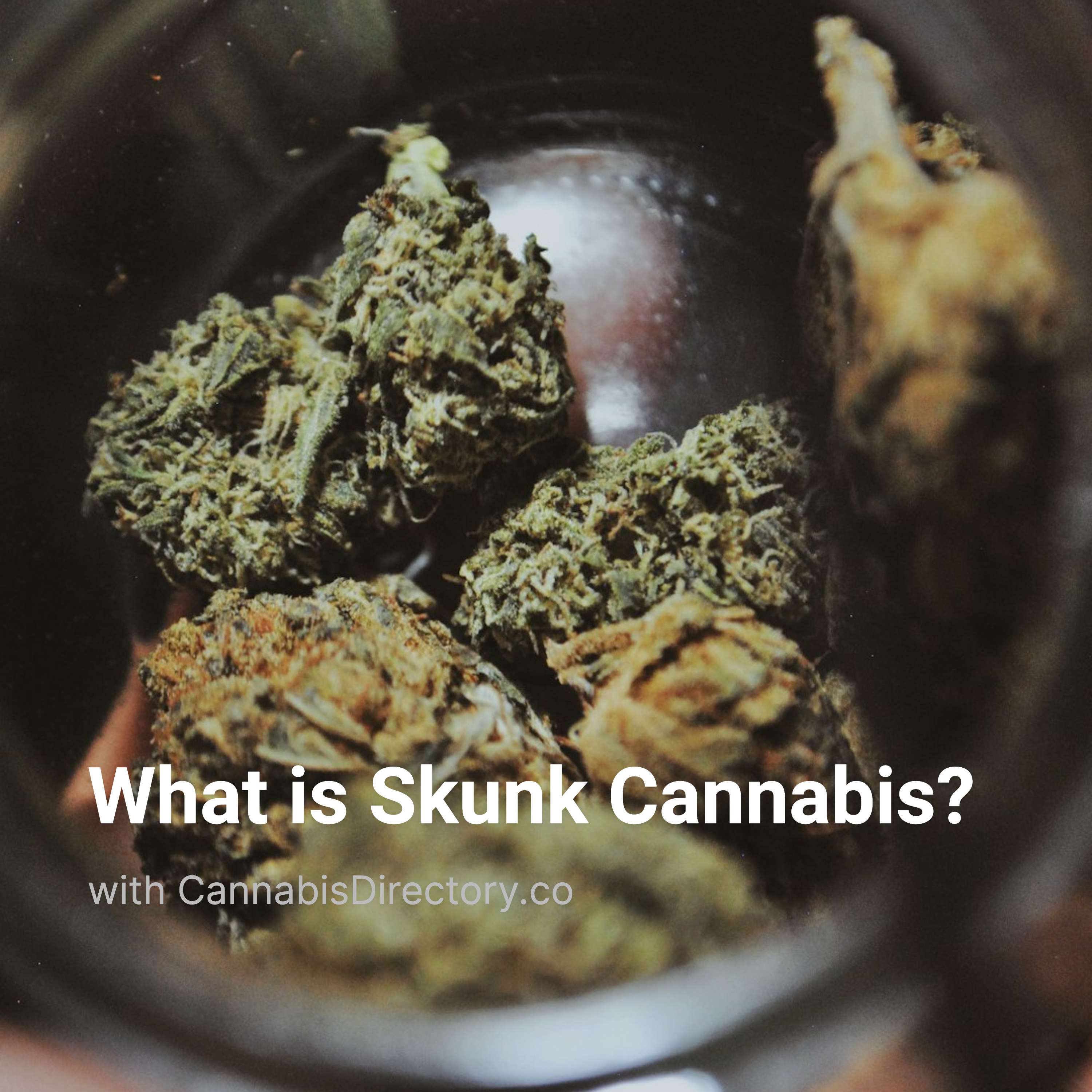 What is Skunk Cannabis?