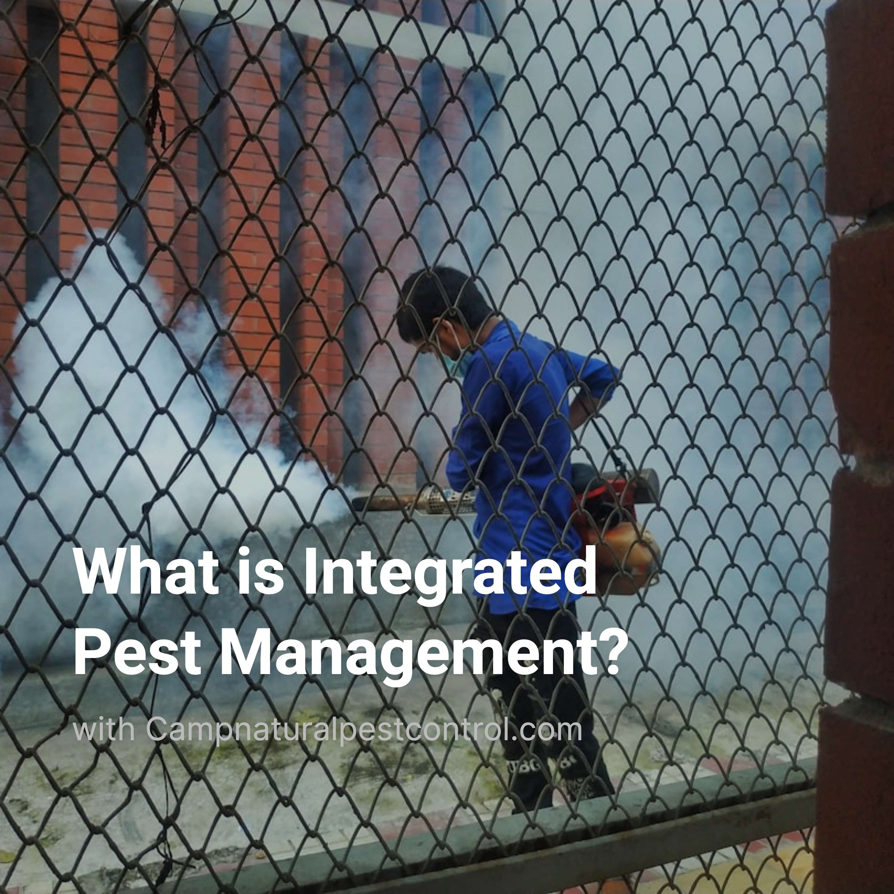 What is Integrated Pest Management?