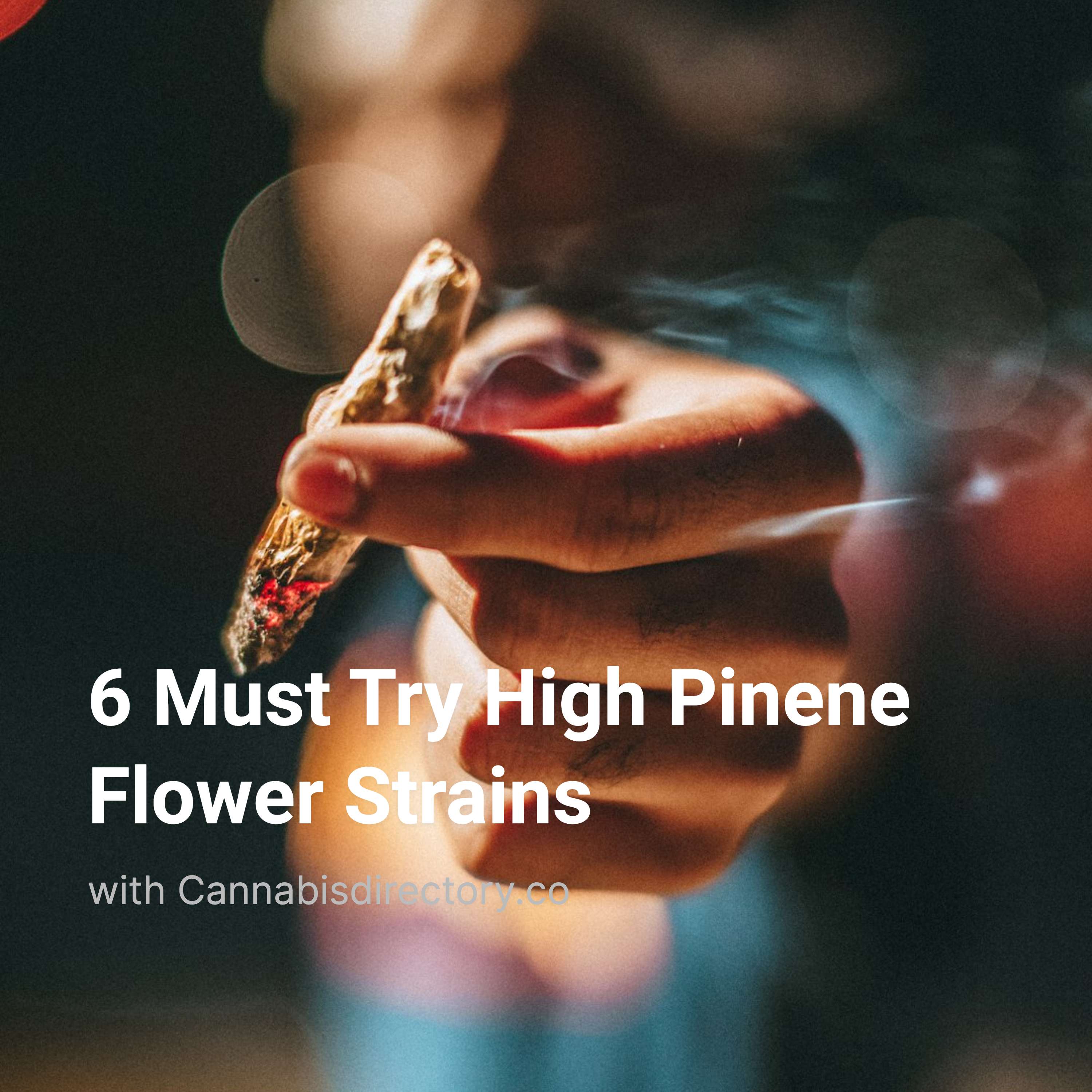 6 Must Try High Pinene Flower Strains