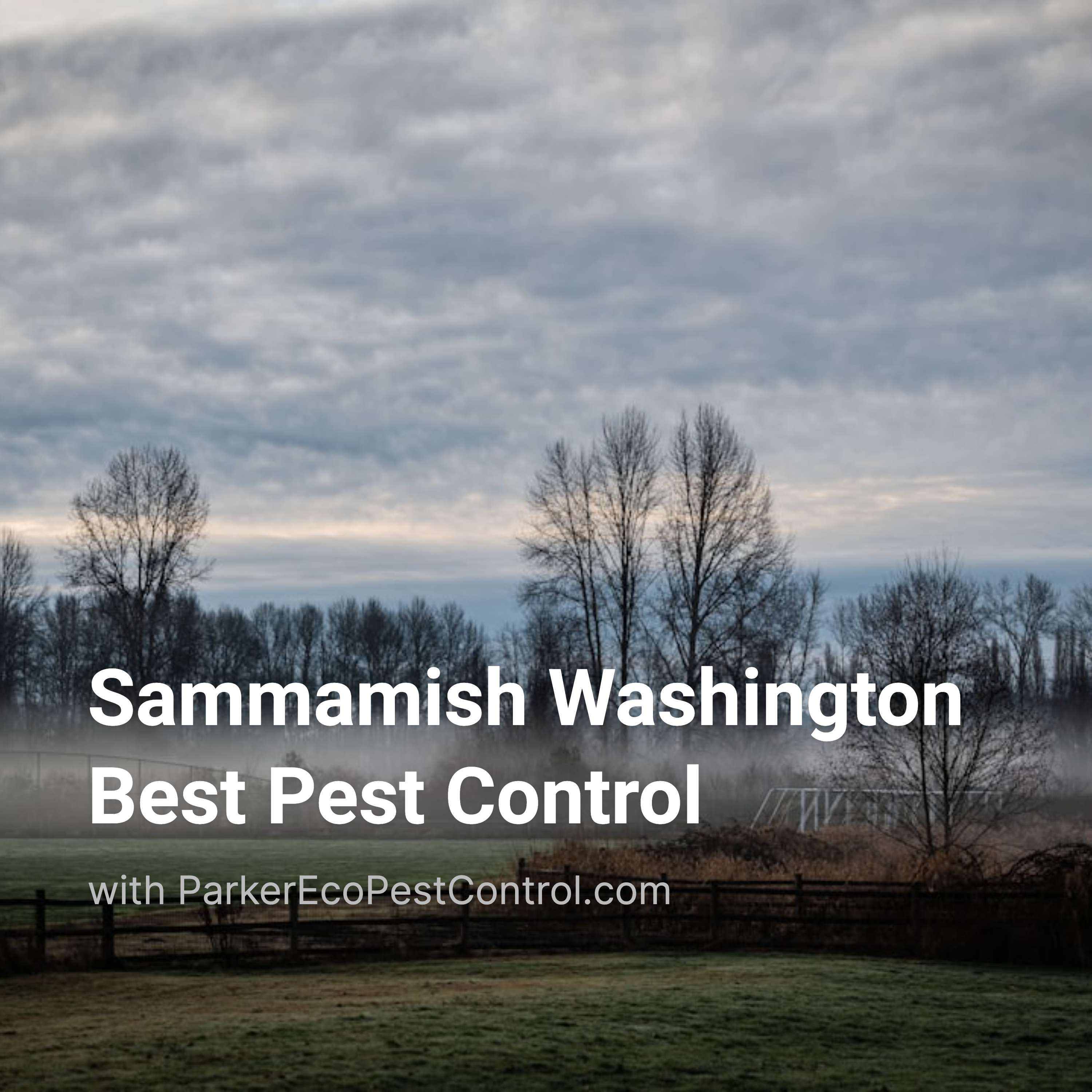 Sammamish Washington Best Pest Control