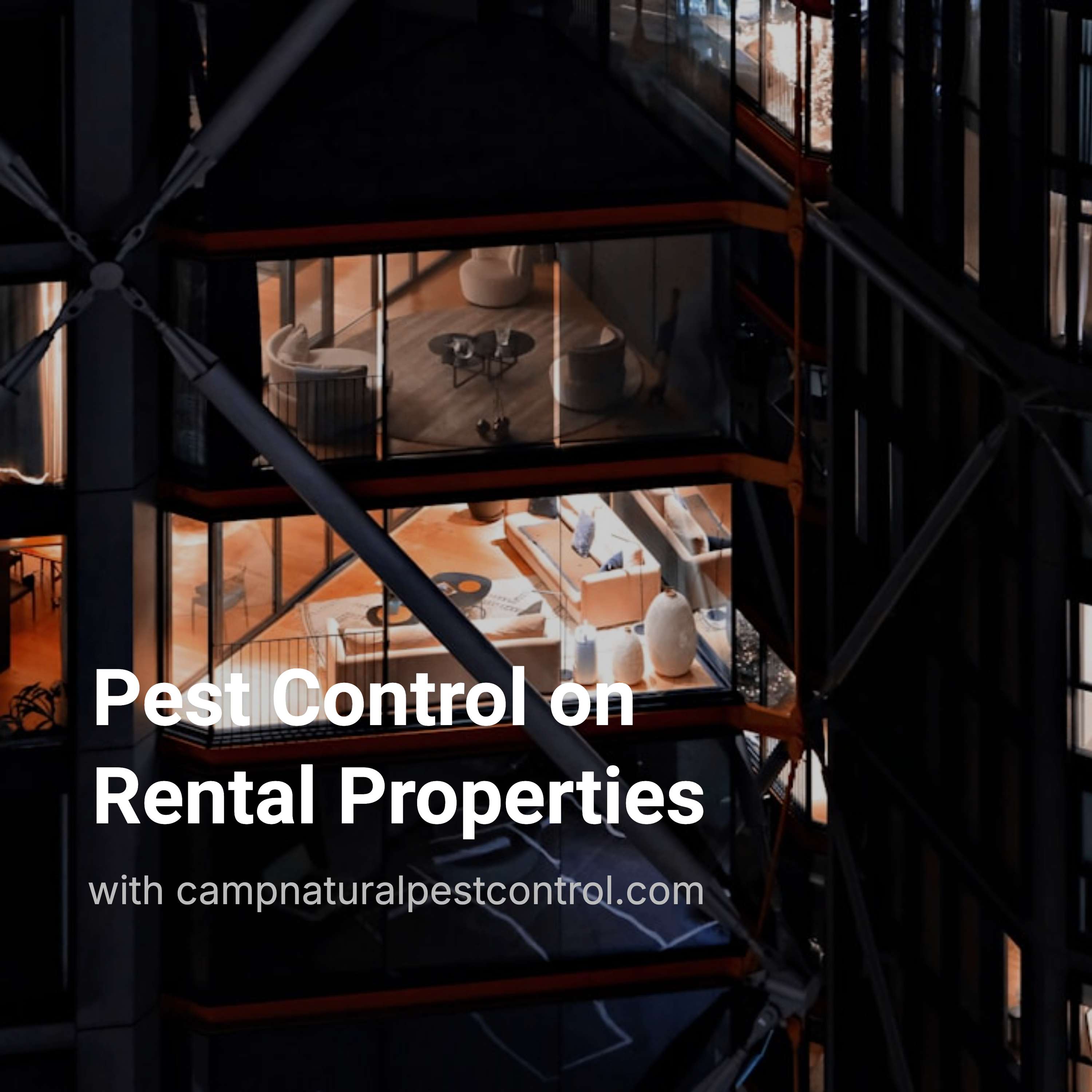 Pest Control on Rental Properties: Is it a Landlords Responsibility?