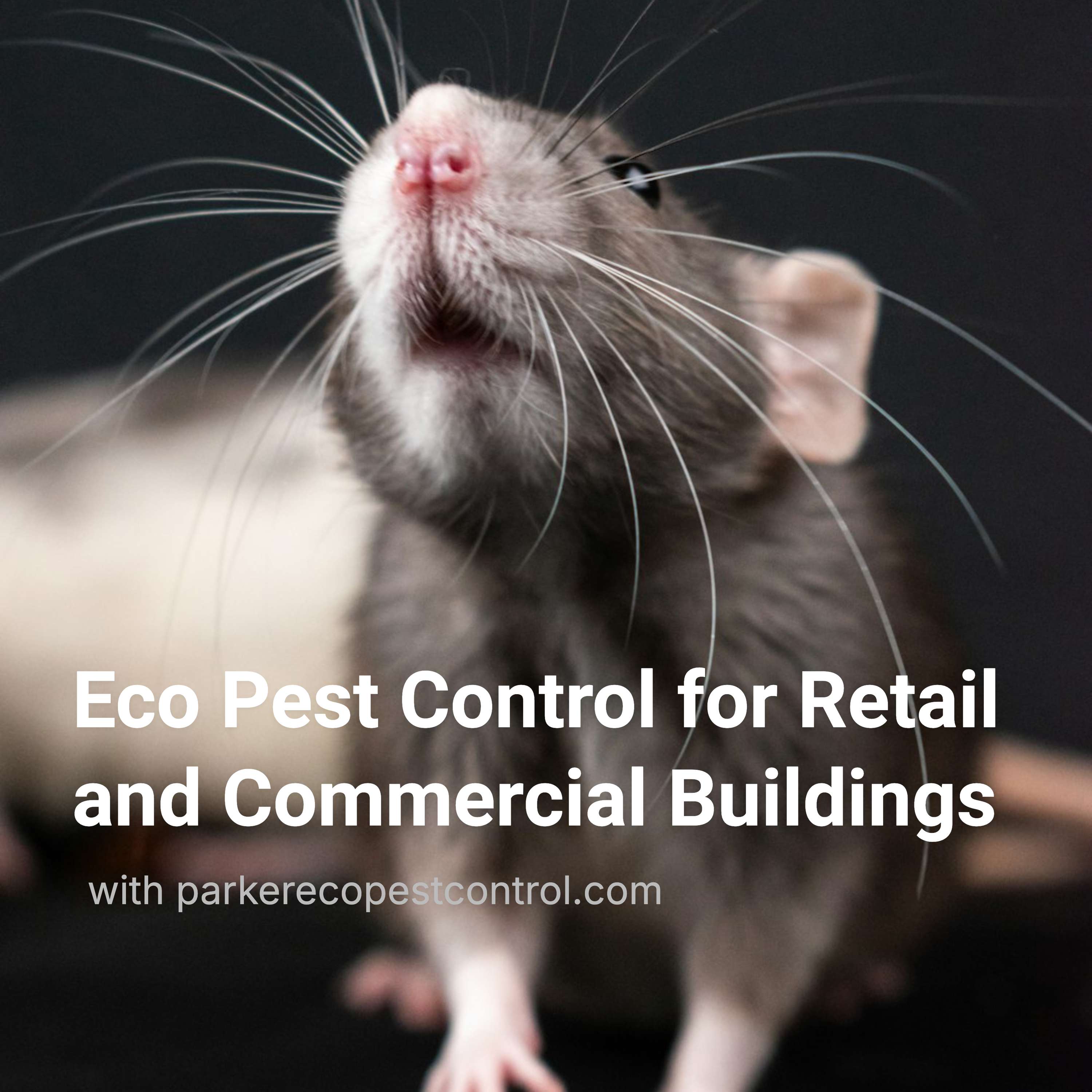 Eco Pest Control for Retail and Commercial Buildings