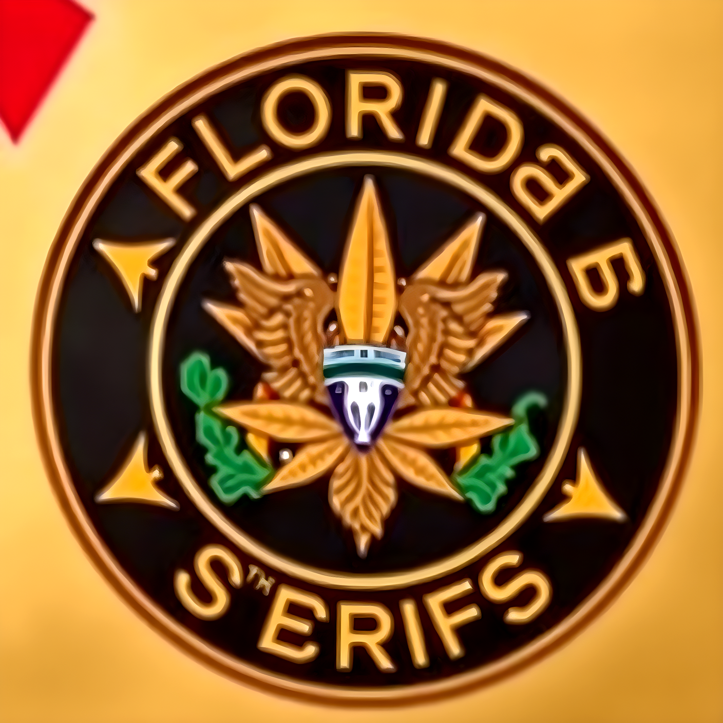 Florida Sheriffs, Police Chiefs Oppose Marijuana Initiative
