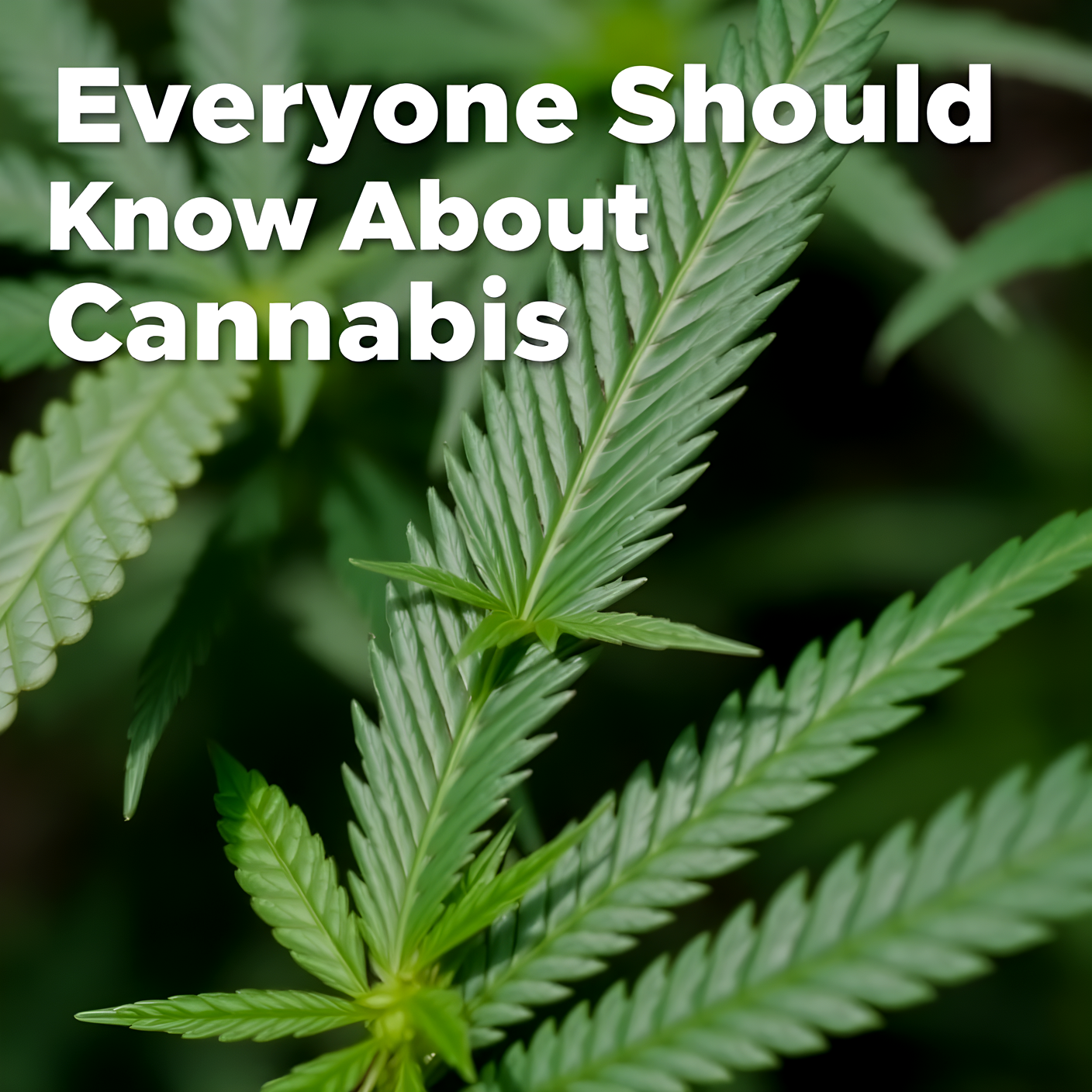9 Things Everyone Should Know About Cannabis