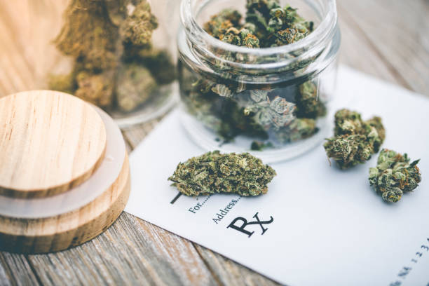 The Surge in Medical Marijuana Card Holders Across the United States