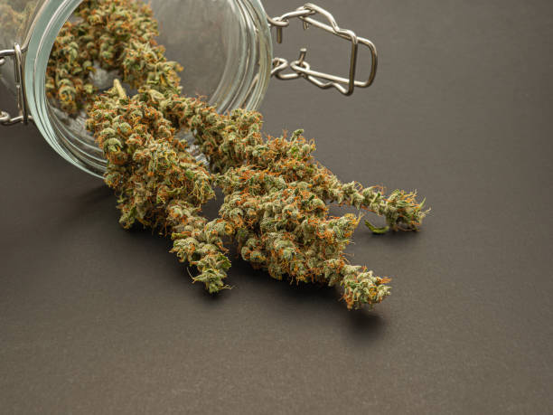 Connecticut Marijuana Sales Outpaced by Massachusetts