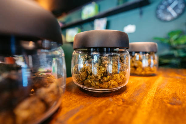 A Look Inside Connecticut’s First Cannabis ‘Micro-cultivator’
