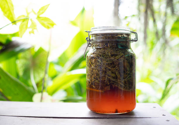 What Are the Benefits of THC Honey?