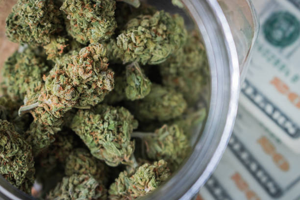 Hundreds of Veterans and Those With Prior Convictions Awarded Social Equity Status Under Minnesota Cannabis Program