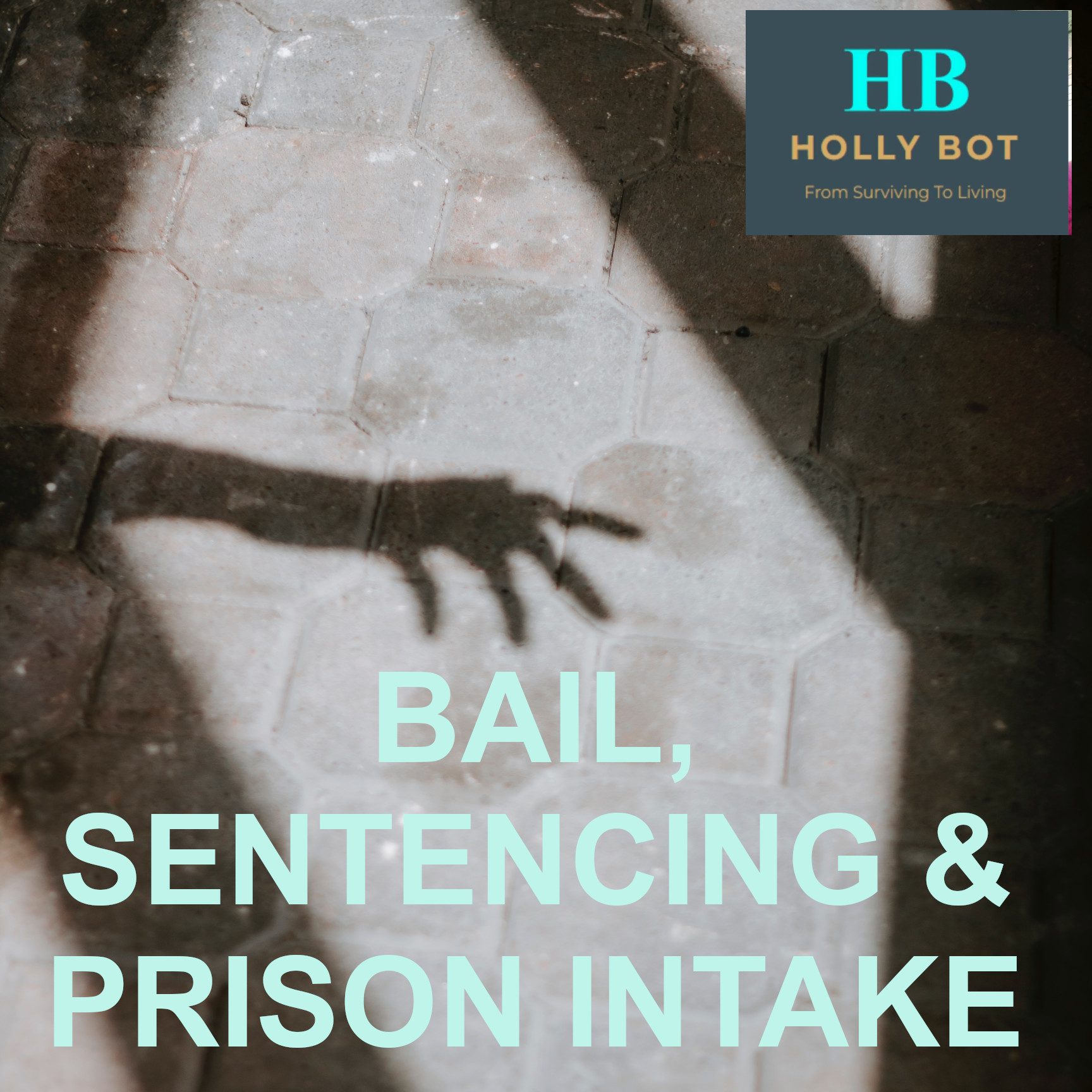 (03) BAIL, SENTENCING & PRISON INTAKE