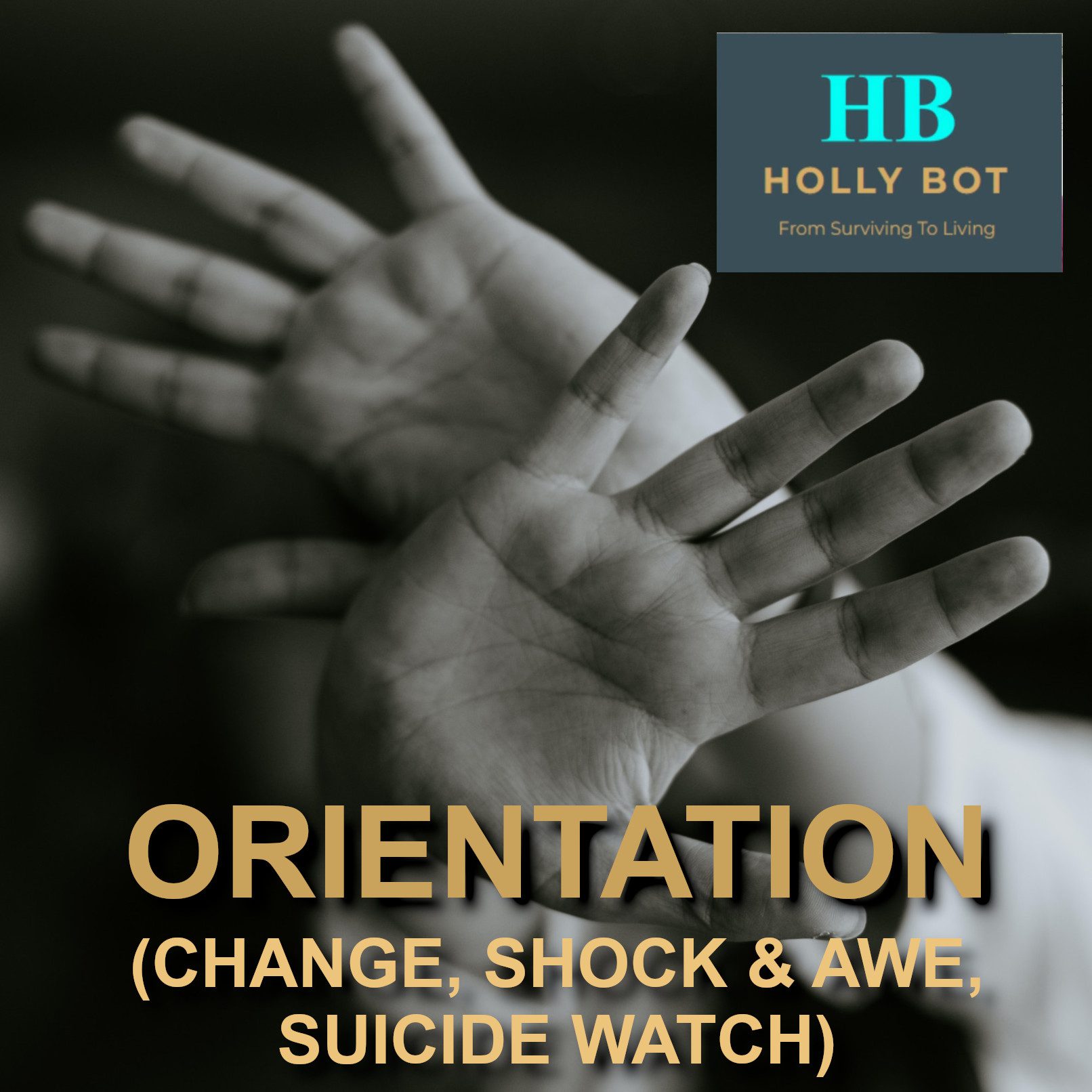 (04) ORIENTATION (CHANGE, SHOCK & AWE, SUICIDE WATCH)