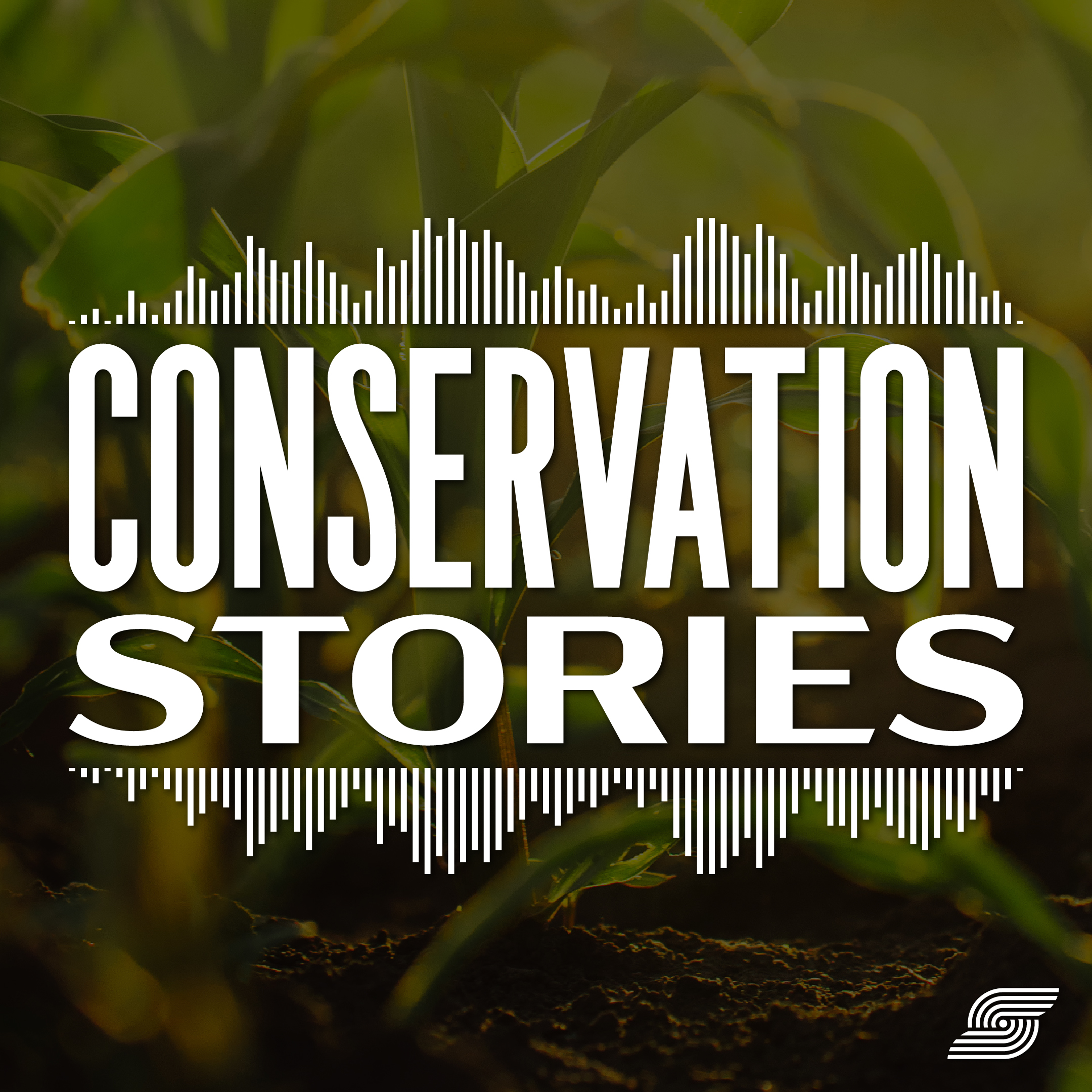 Welcome To Conservation Stories