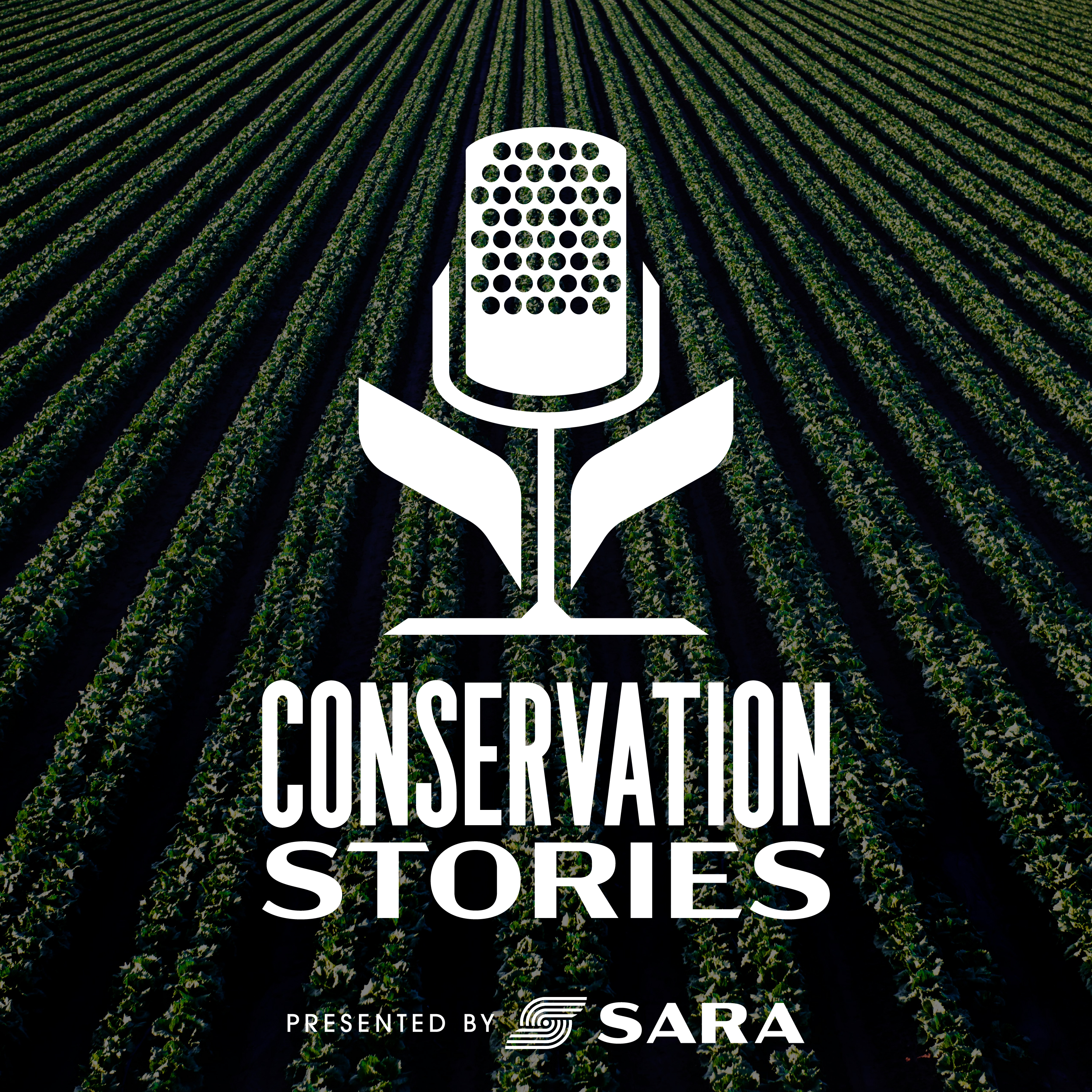 Leasing the Land: Renewable Energy, Conservation Easements, and the Next Generation of Stewardship