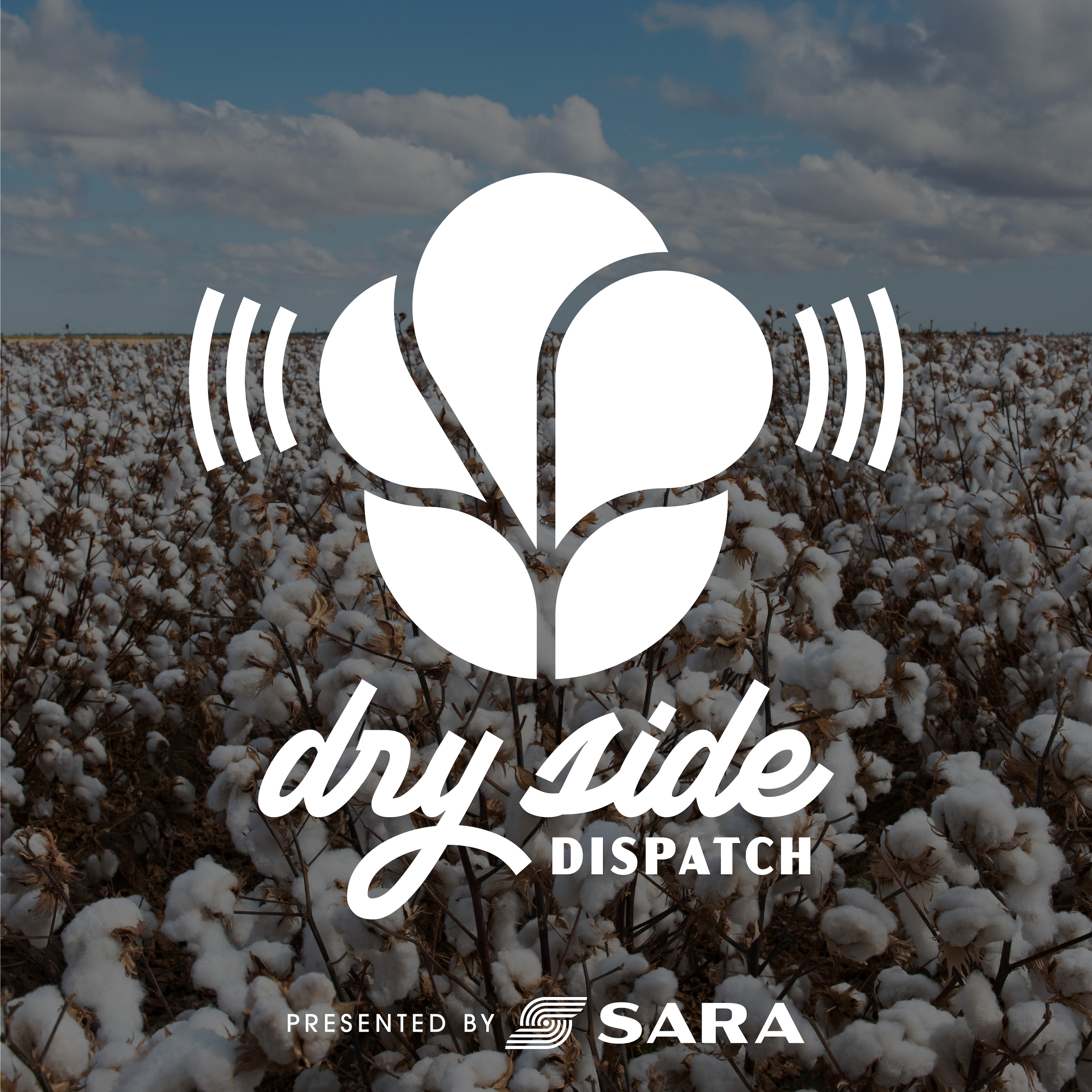 The Dry Side Dispatch • August 21th • Todd Baughman
