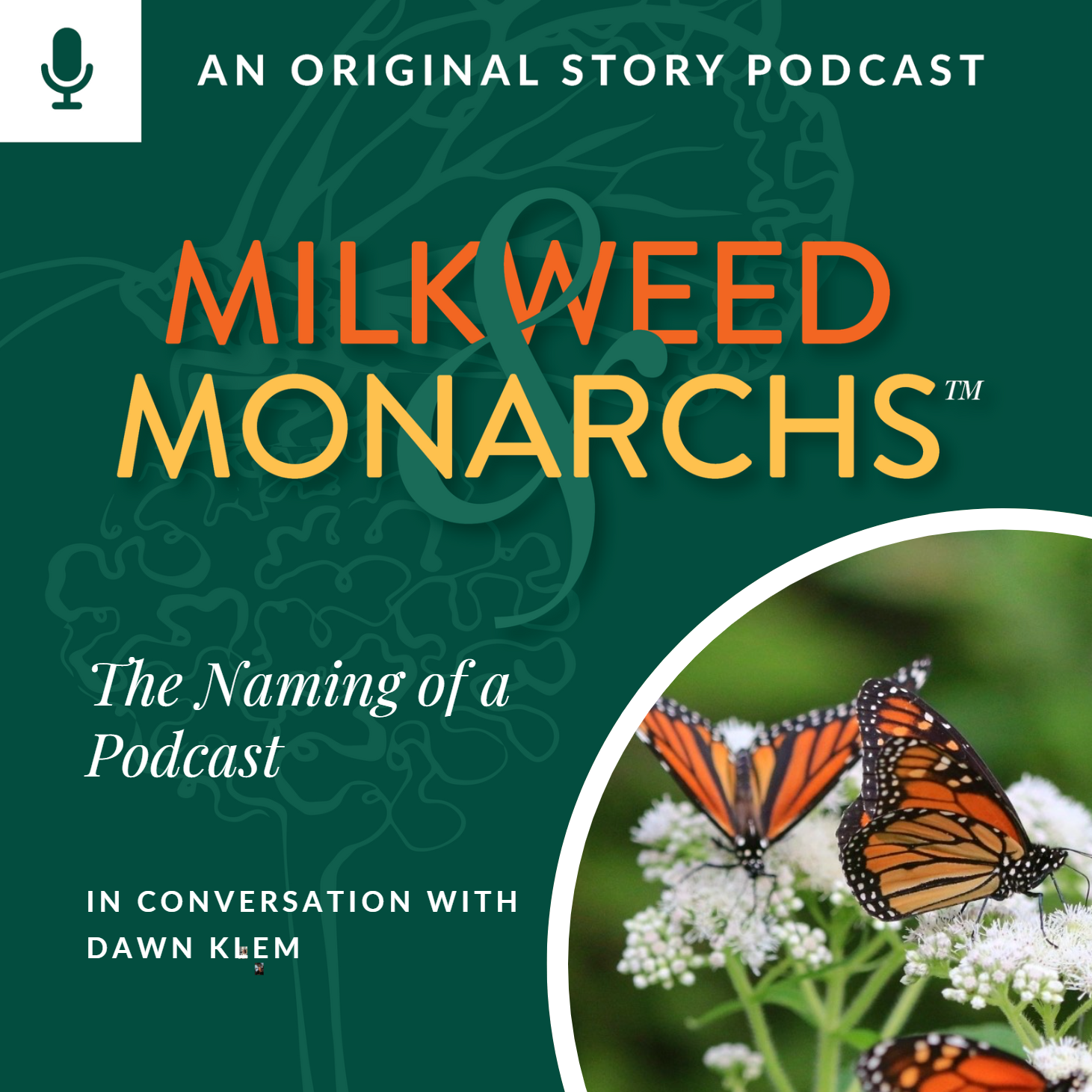 Episode Cover