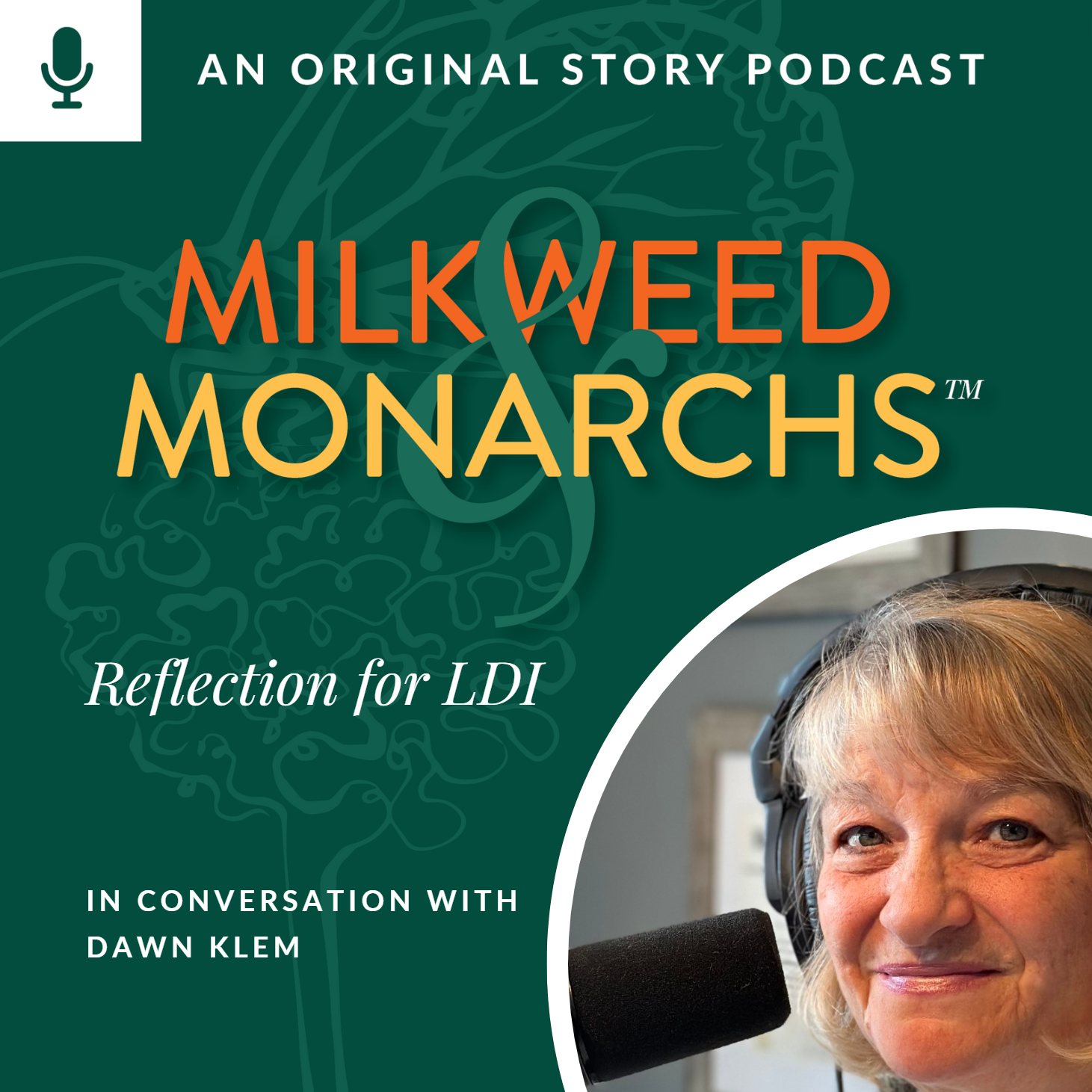 EP4 - Reflection for LDI
