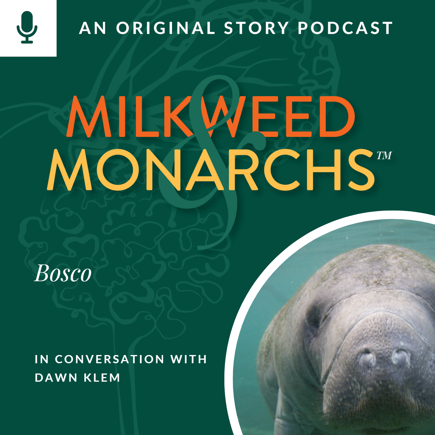 EP14 - Bosco