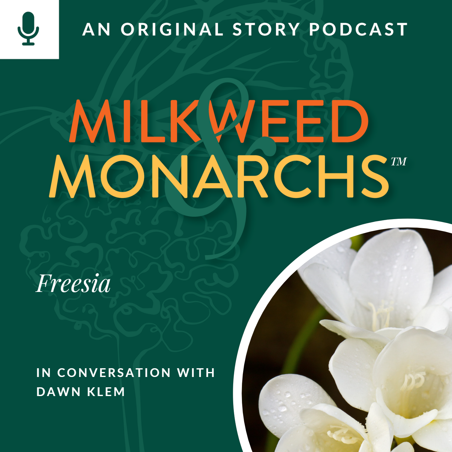 EP16 - Freesia