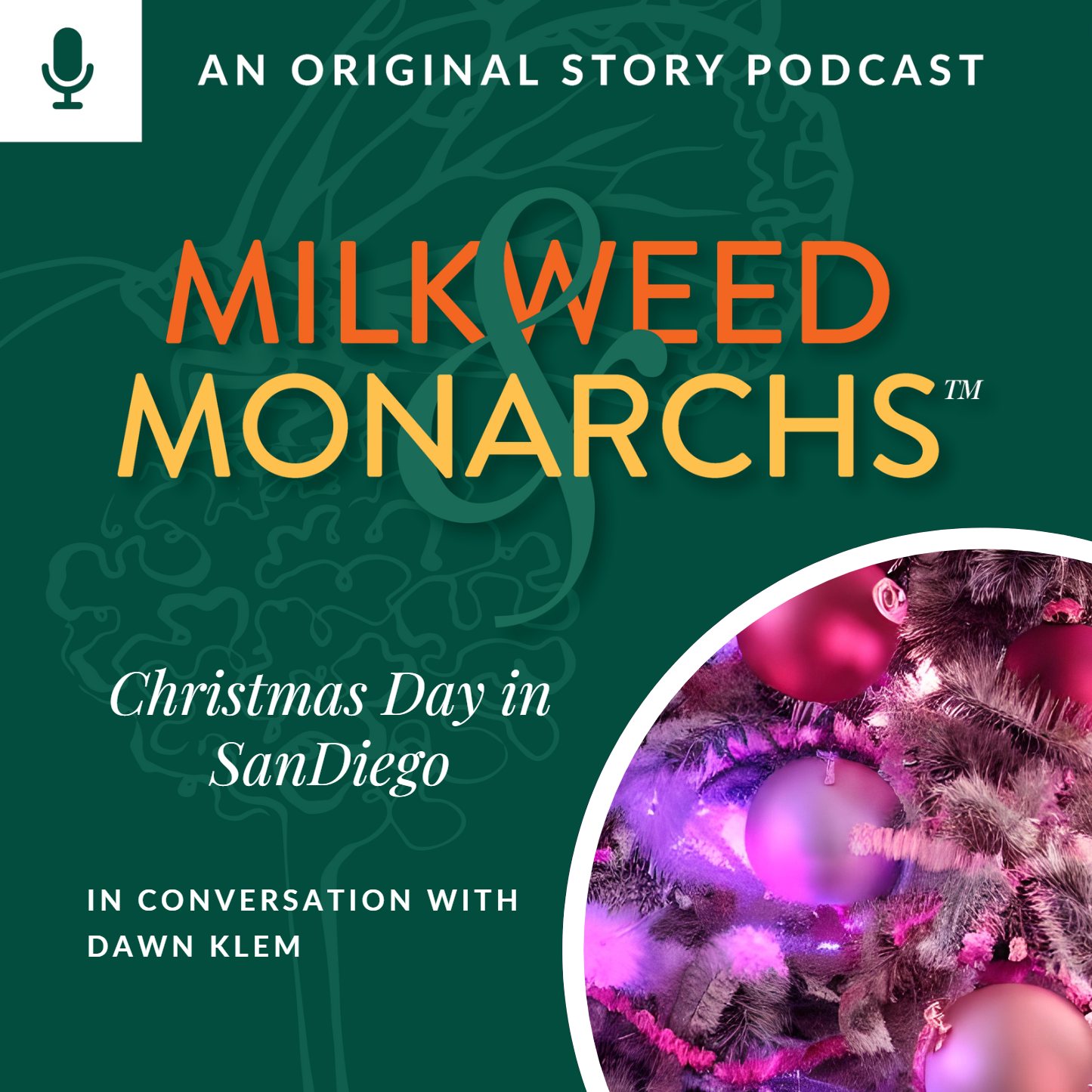 EP19 - Christmas in San Diego