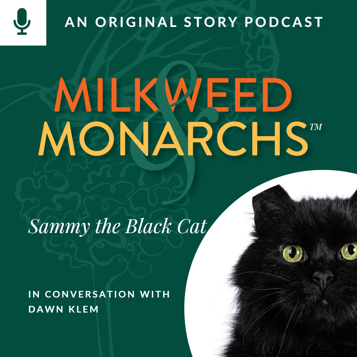 Episode Cover